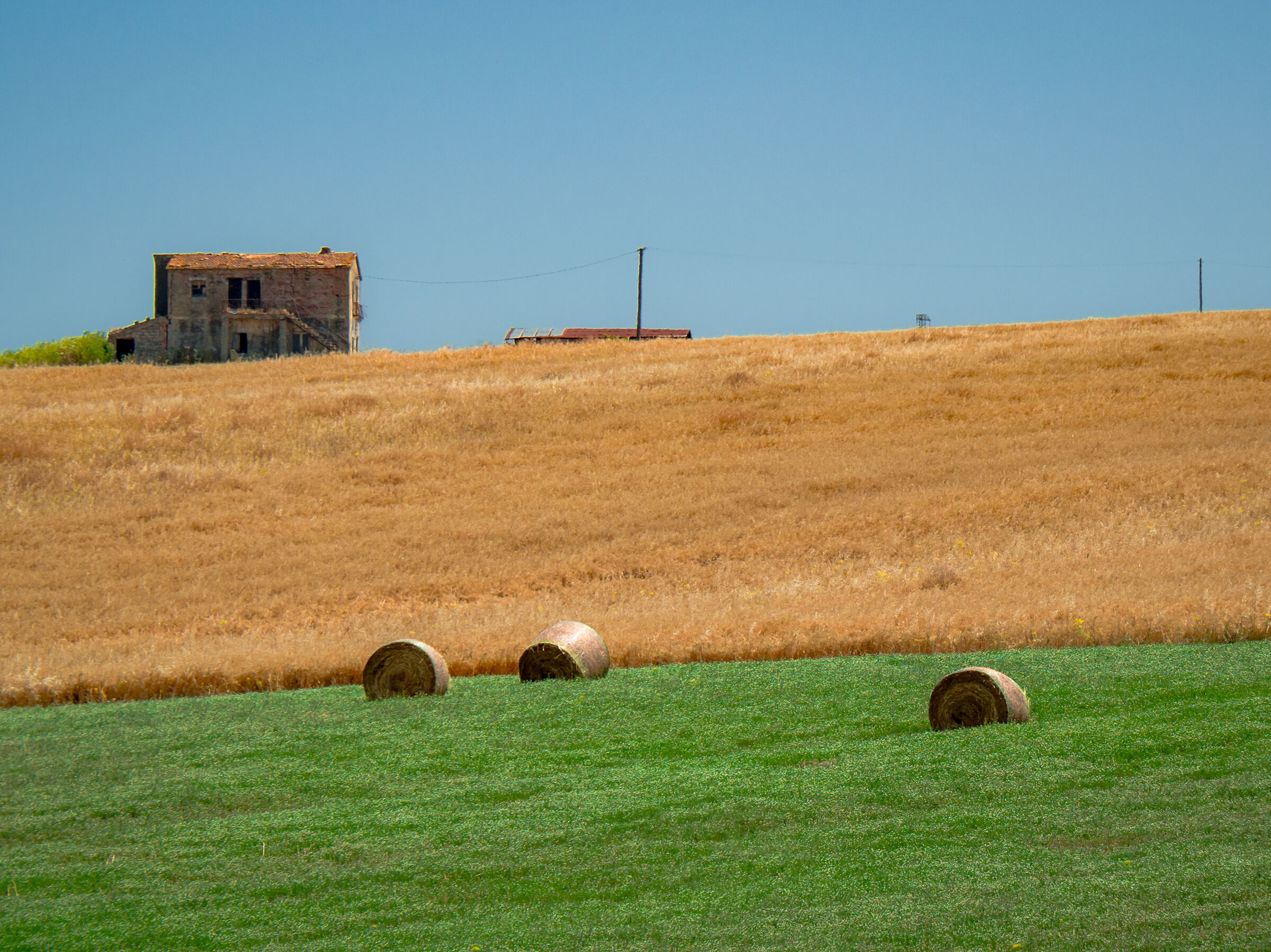 Summer colors in the Italian countryside
