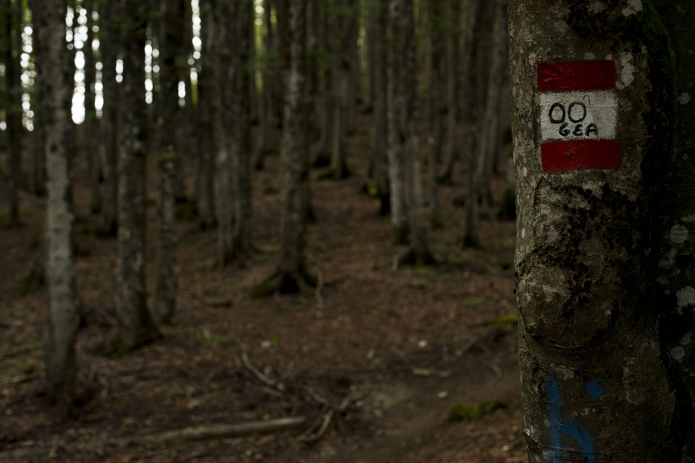 Parco Nazionale delle Foreste Casentinesi AR
