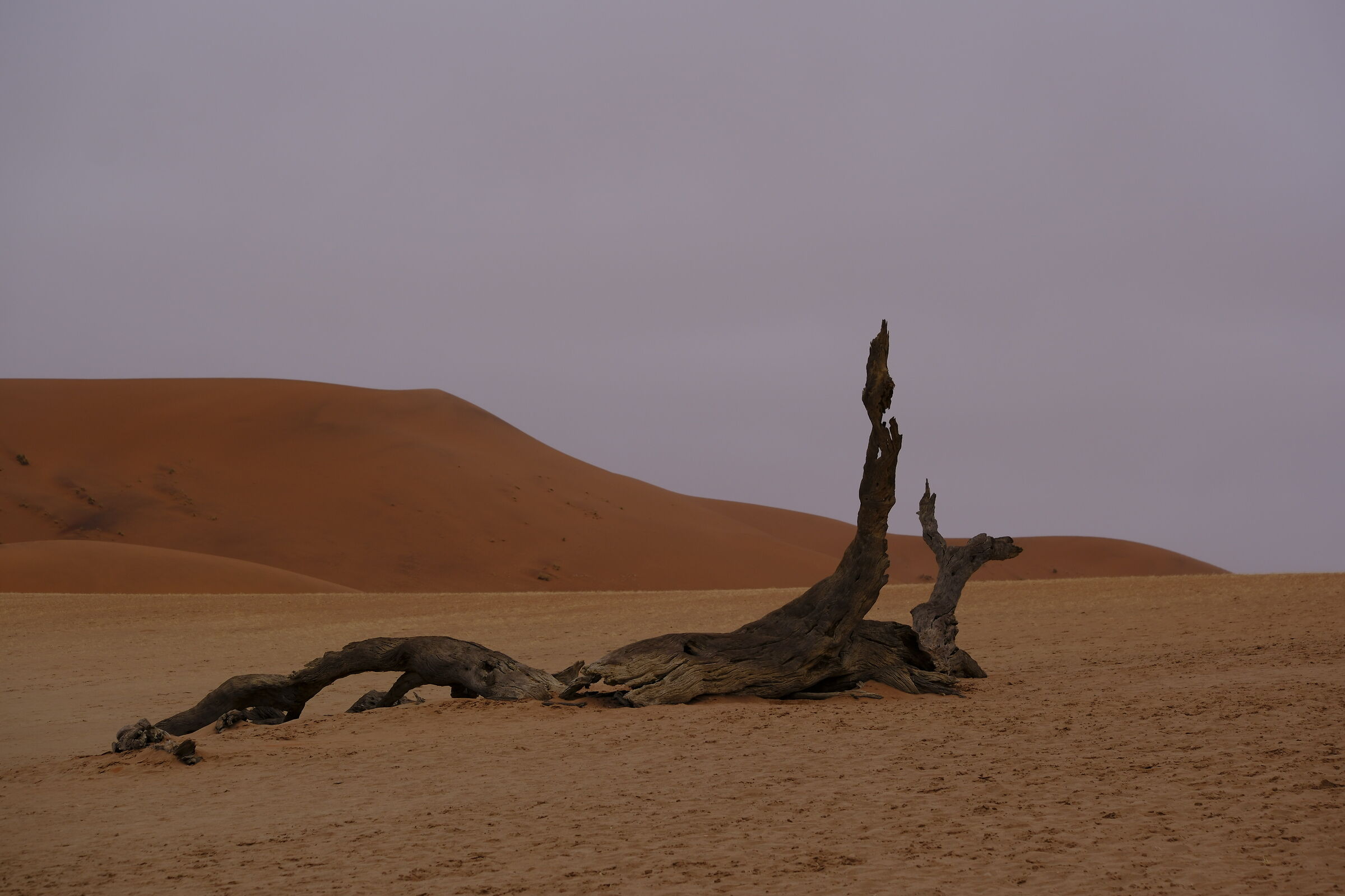 Namibia