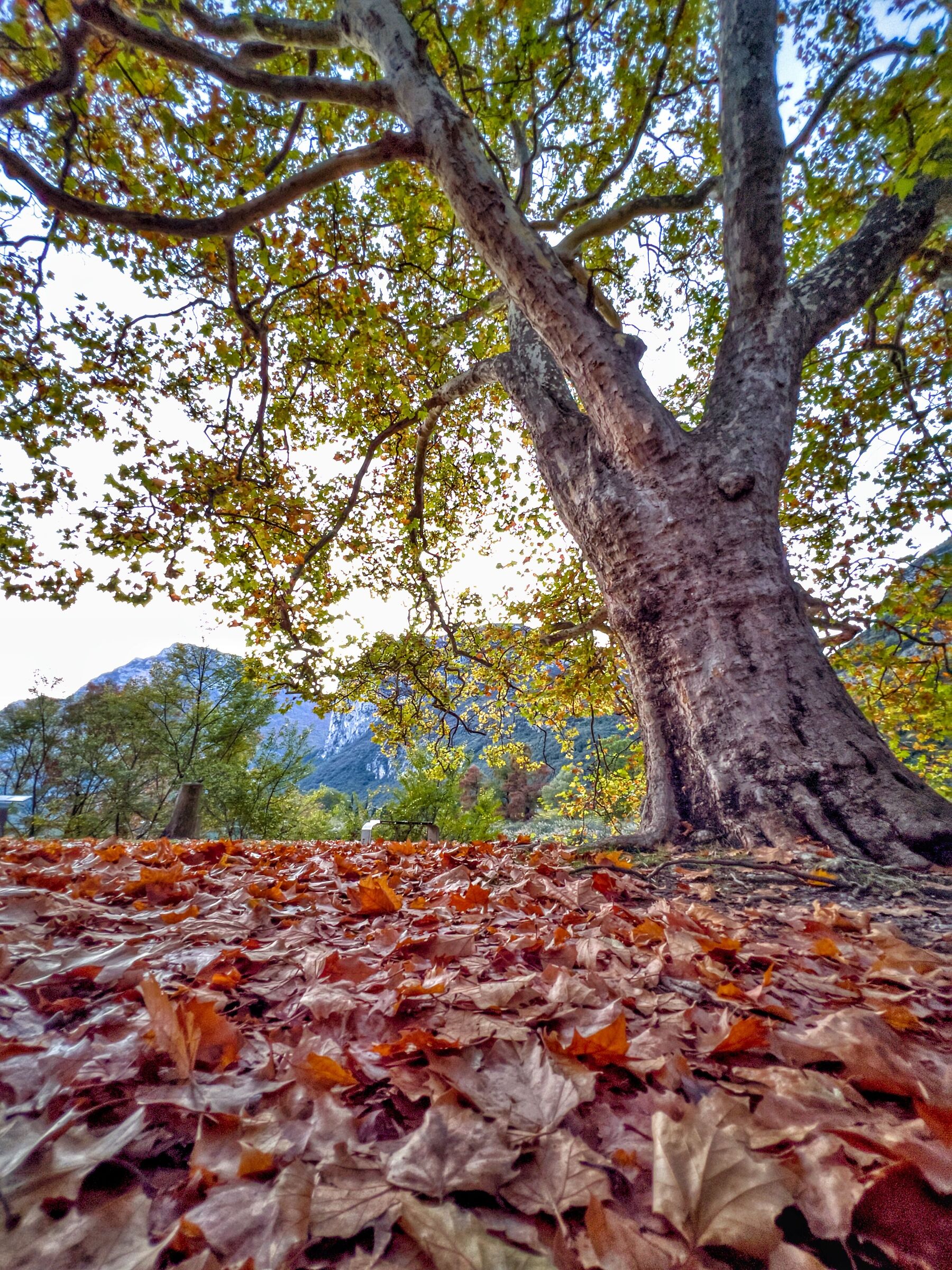 Autumn at Lake Toblino