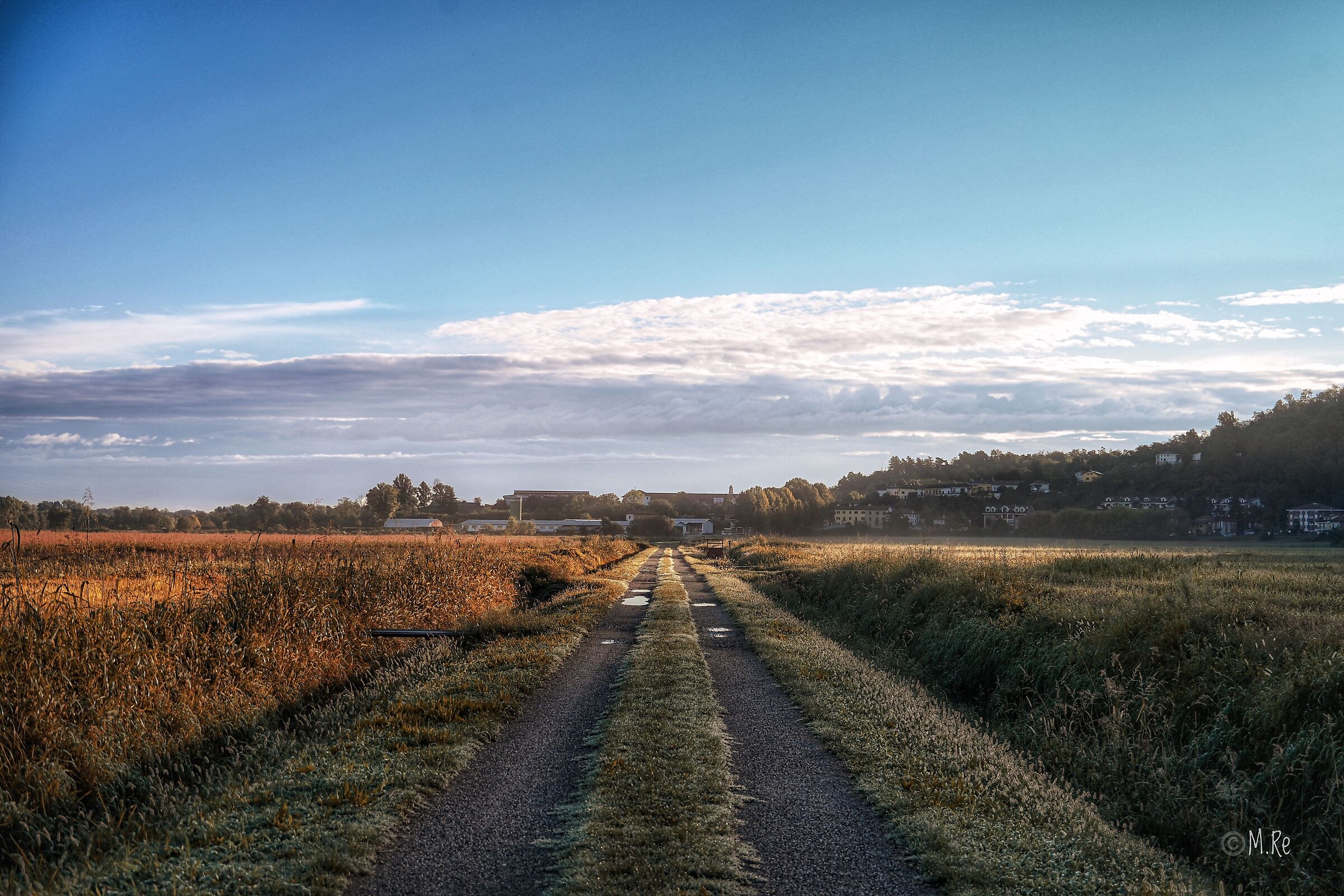 Morning walking