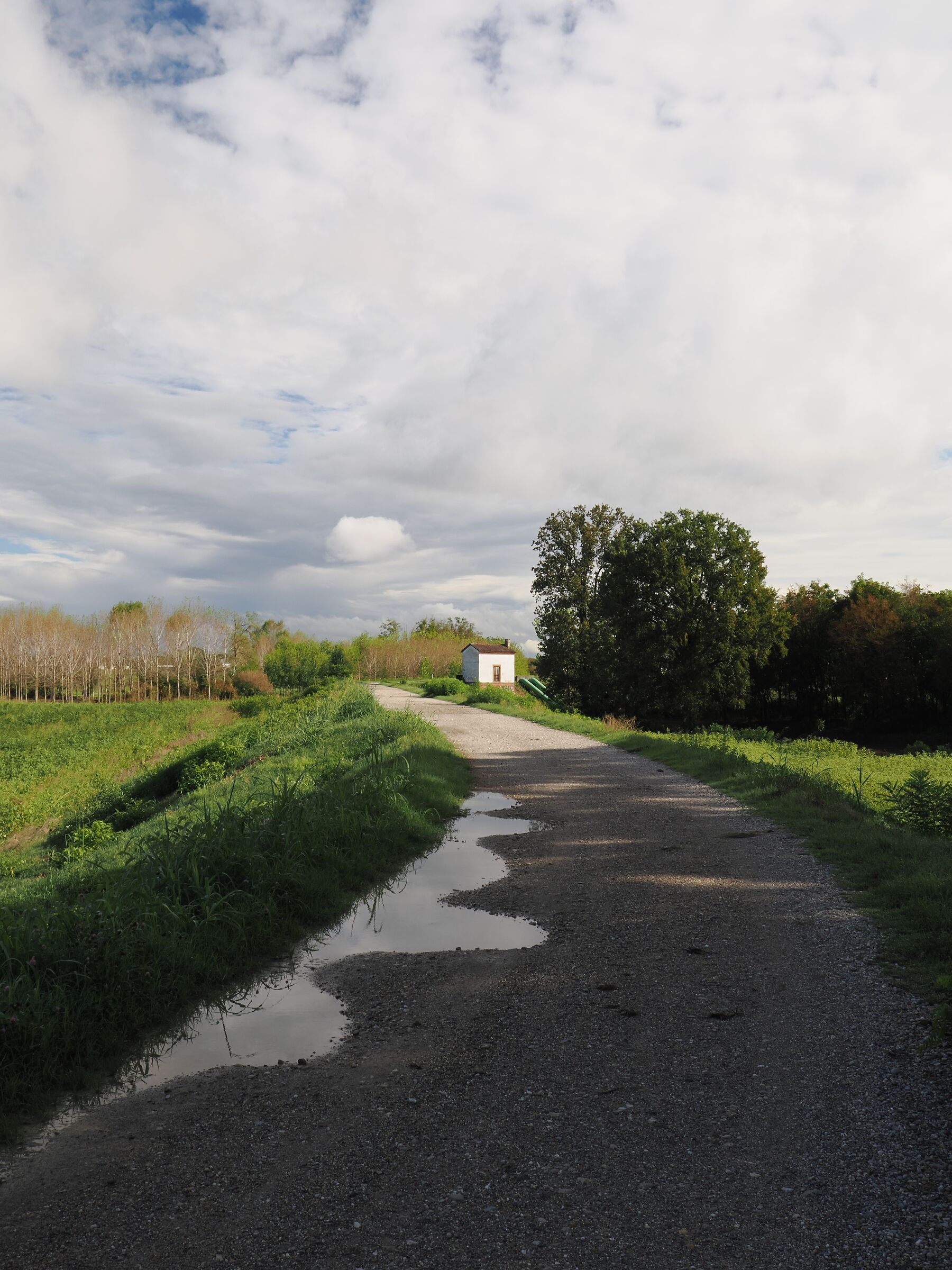 After the rain, the river bank