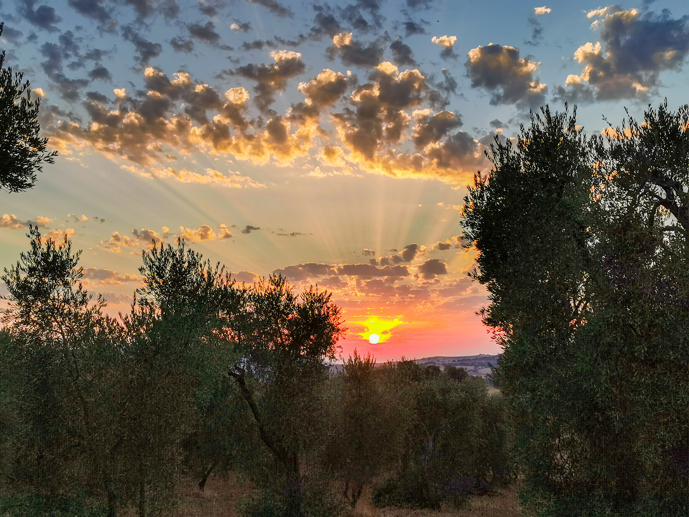 Maremma