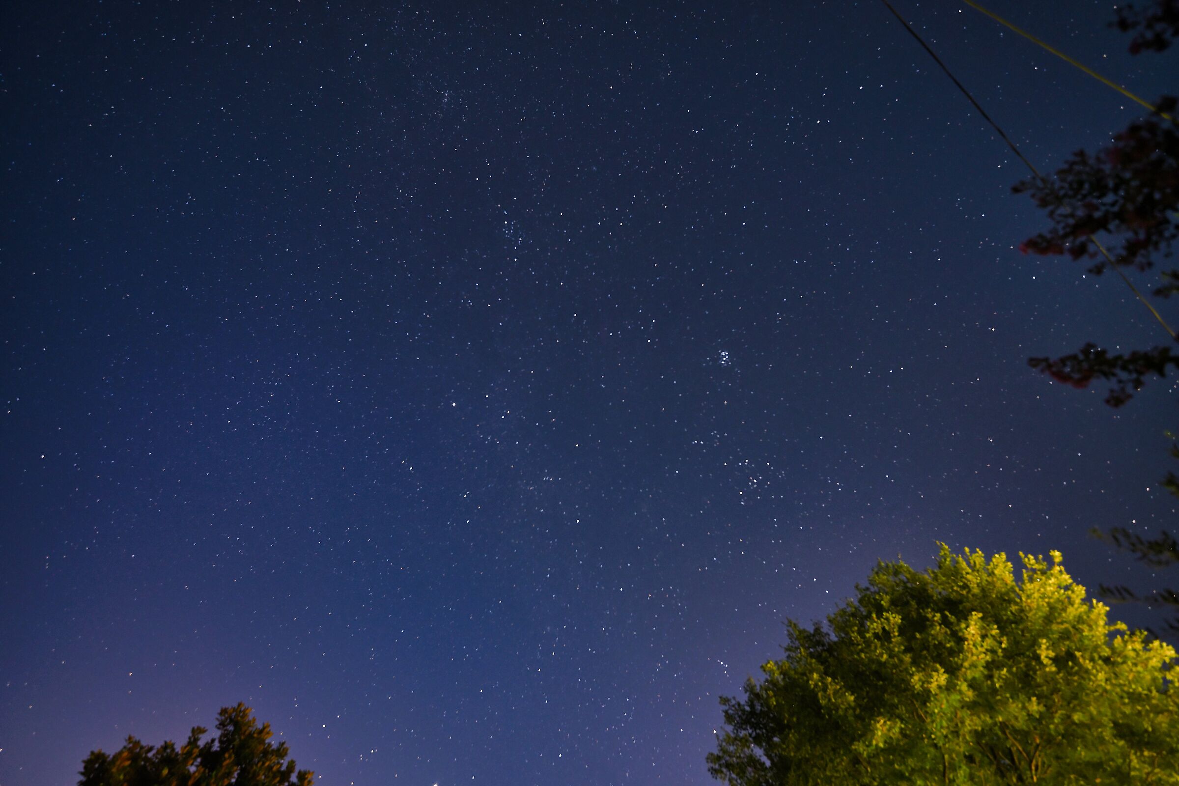 Untitled Photo