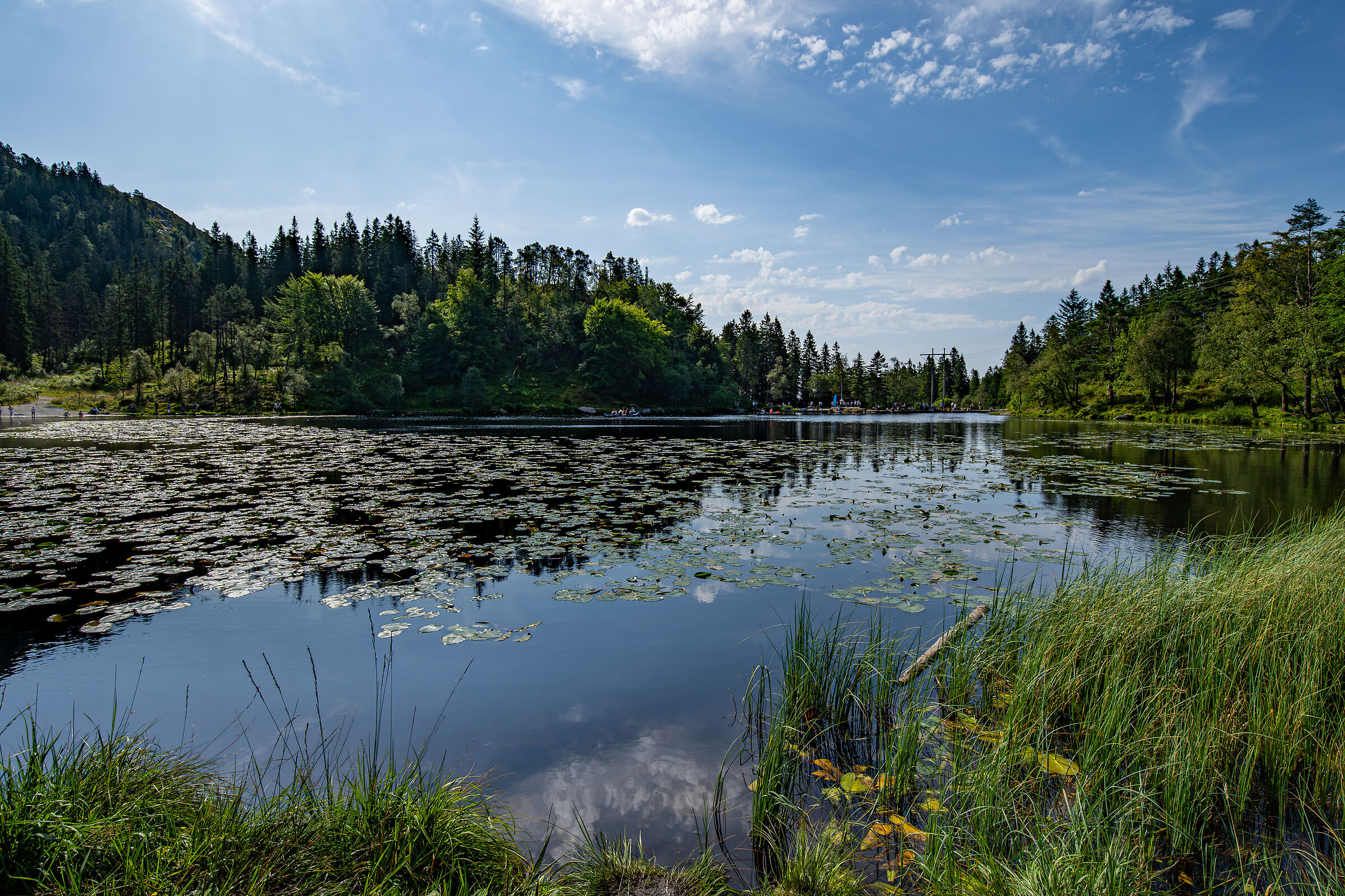 Skomakerdiket