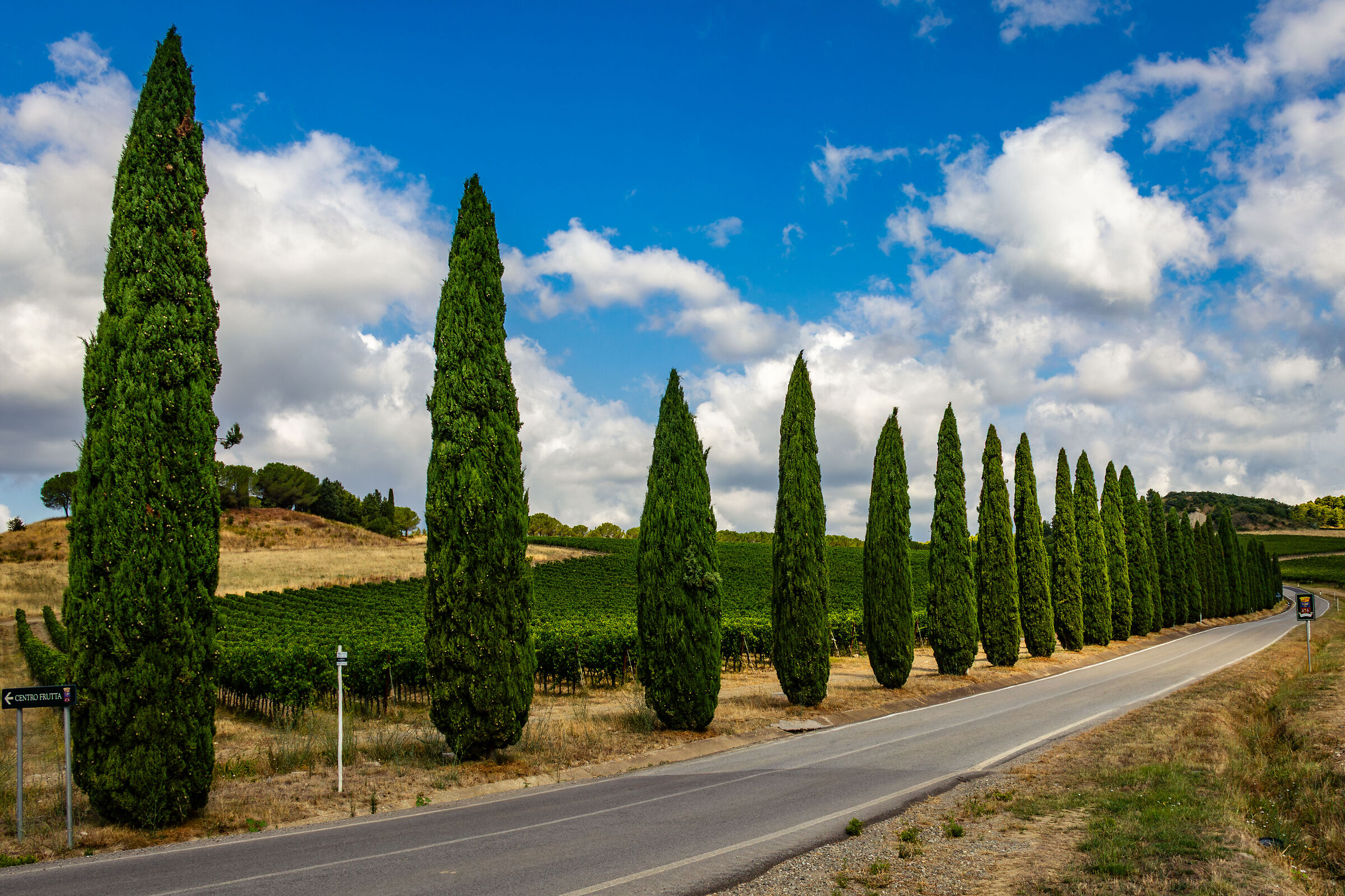 Strada toscana - Montalcino