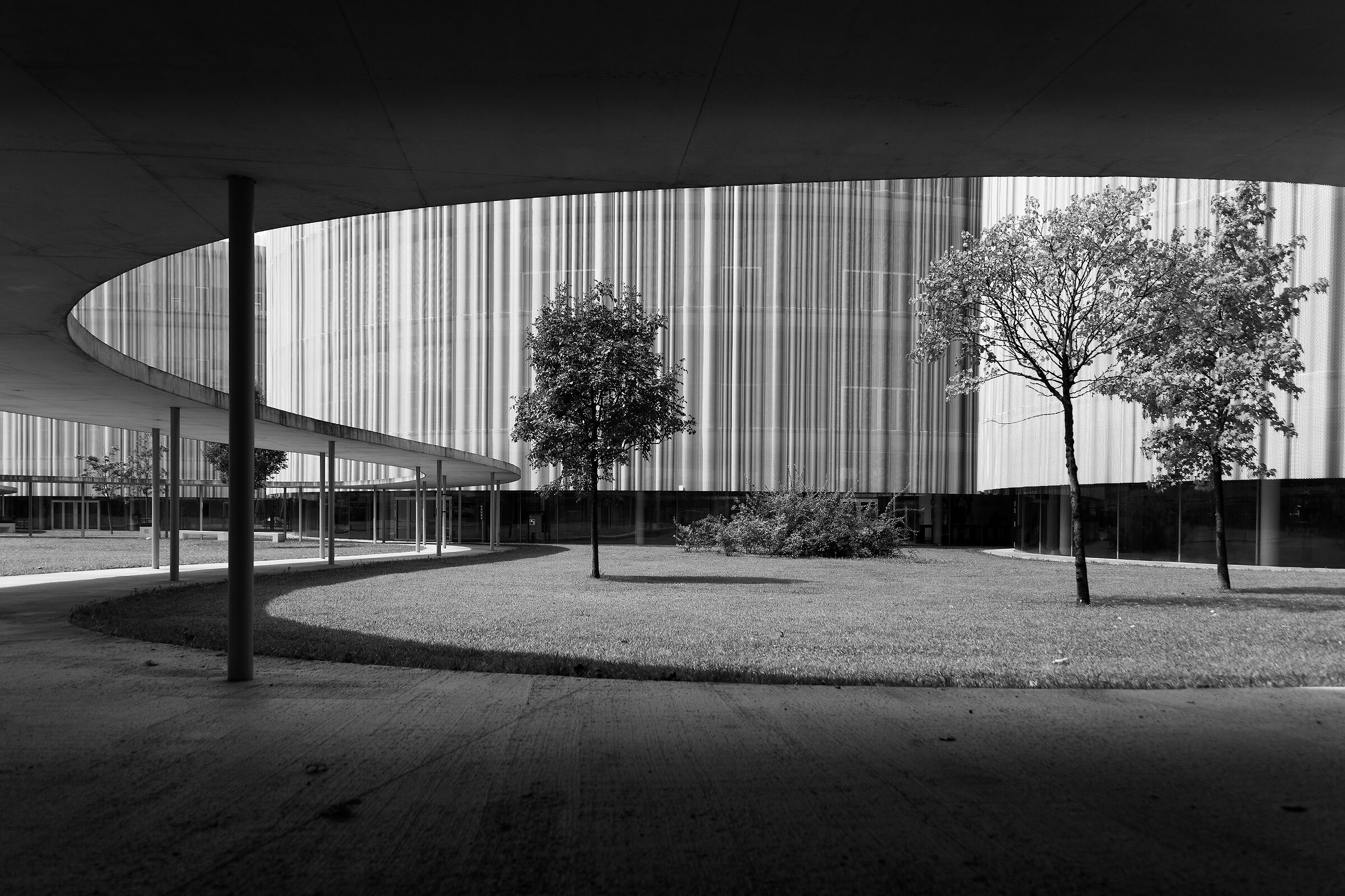 Harmony between nature and concrete