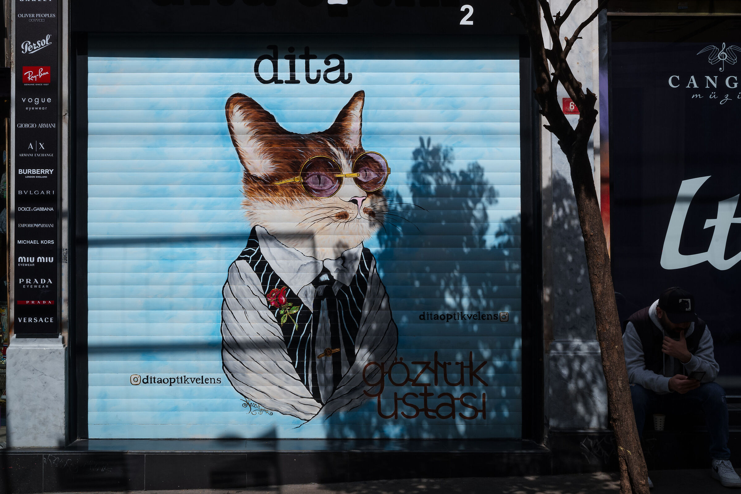 Istanbul città dei gatti