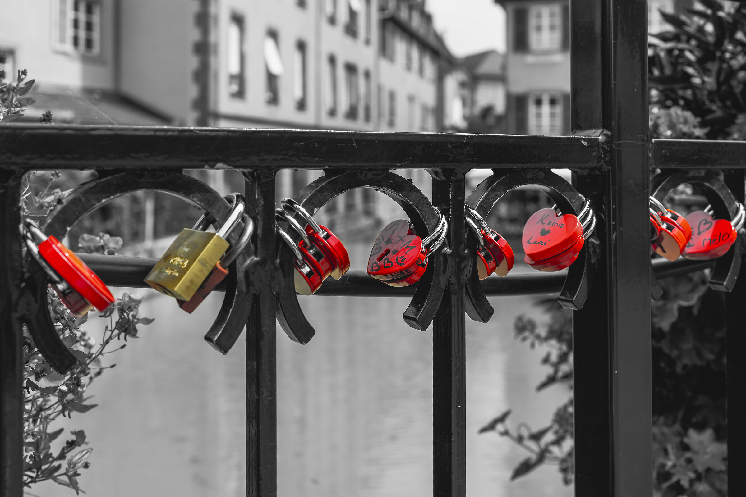 France in love