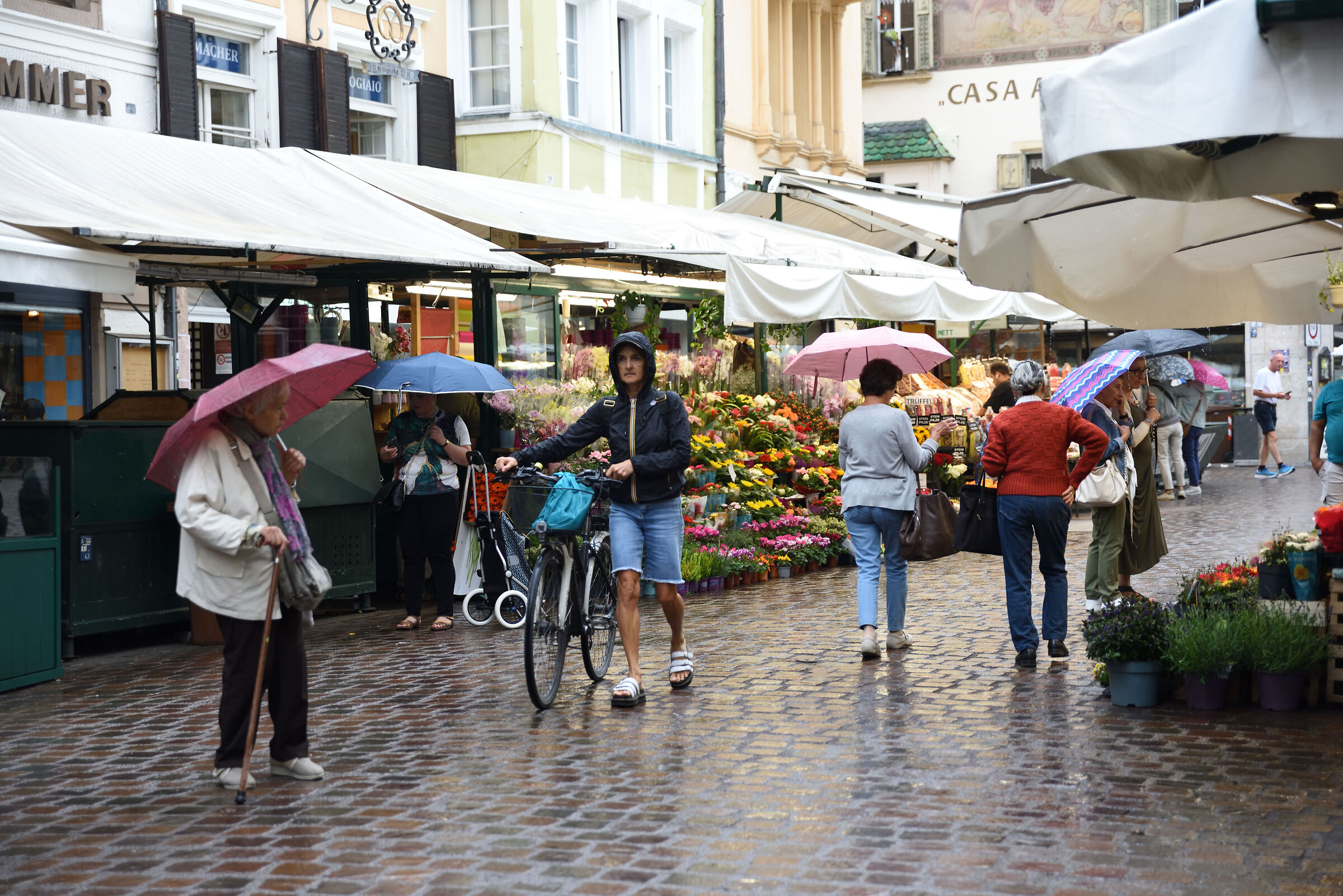 The daily life in the drizzle