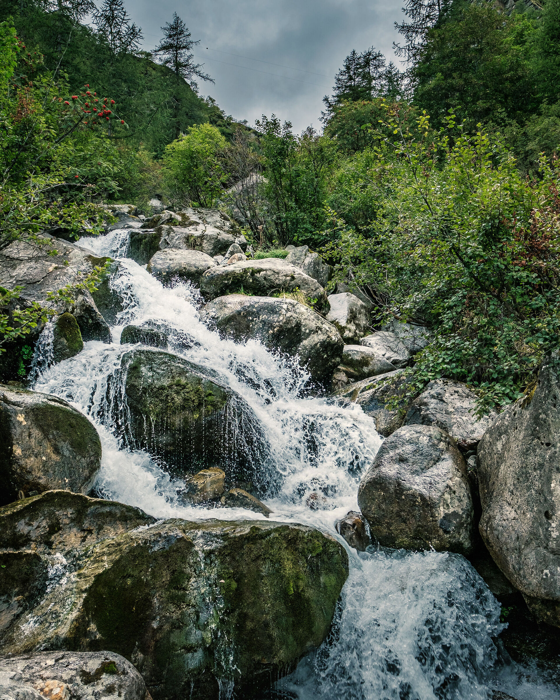 The Bors stream flows impetuously in Valsesia