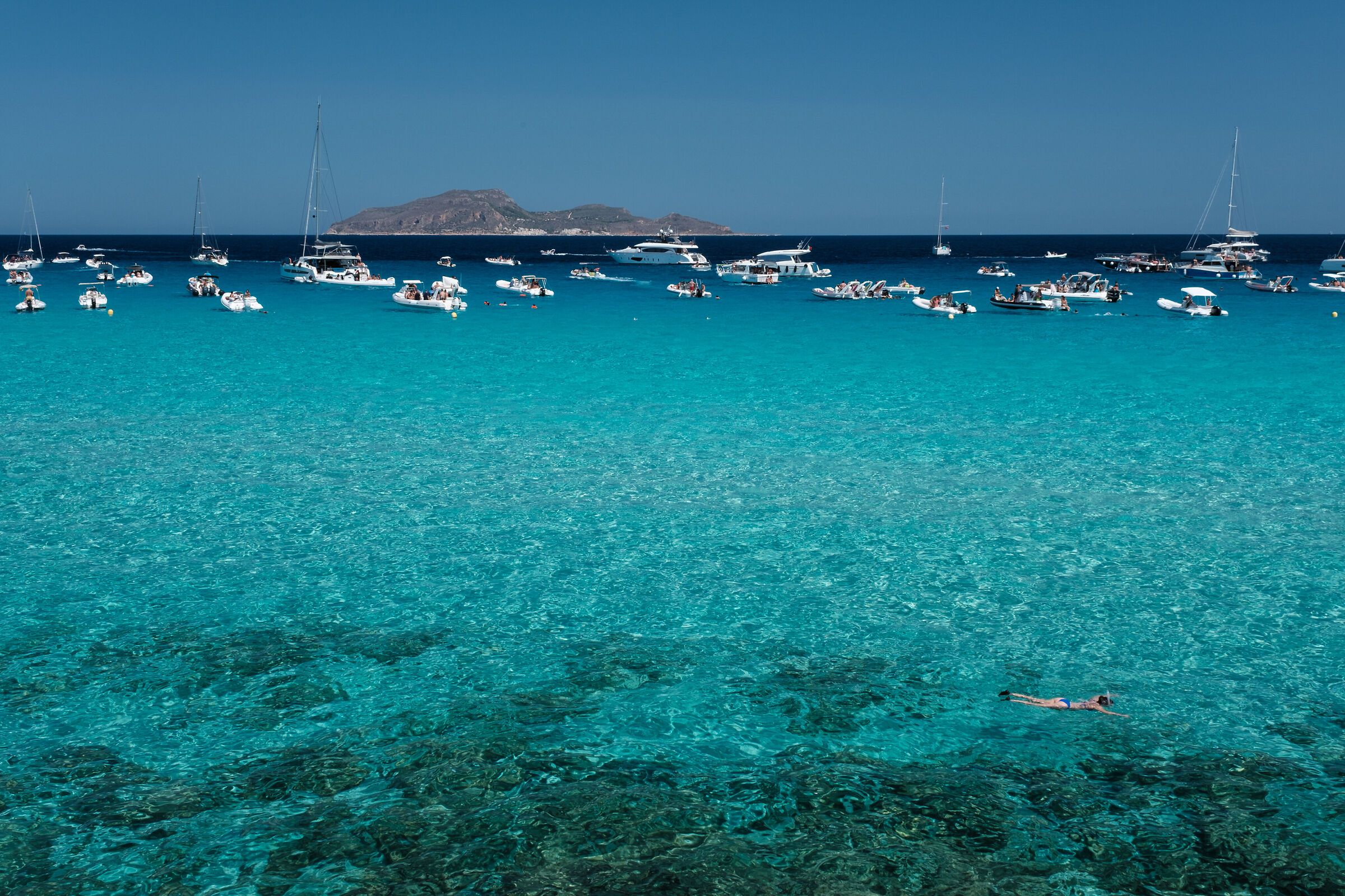 Snorkeling tra i colori di Favignana