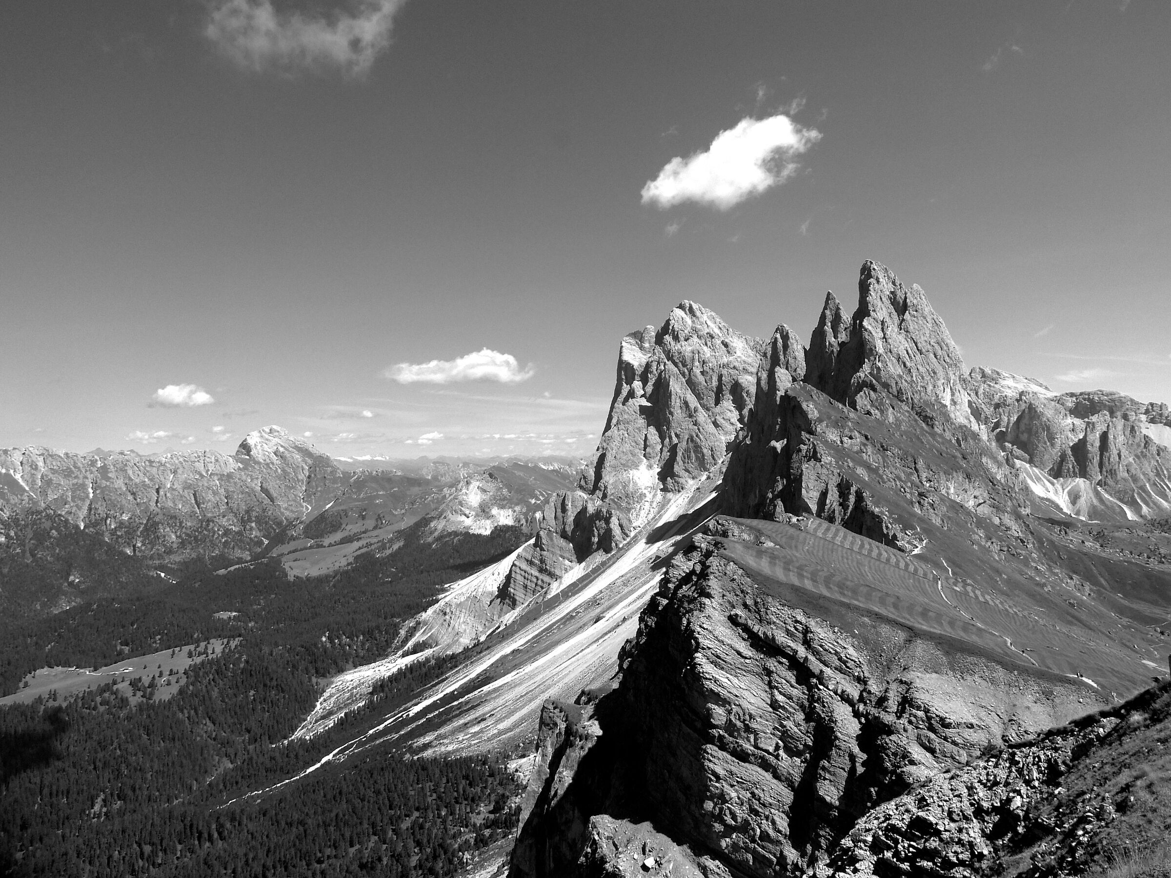M. Seceda