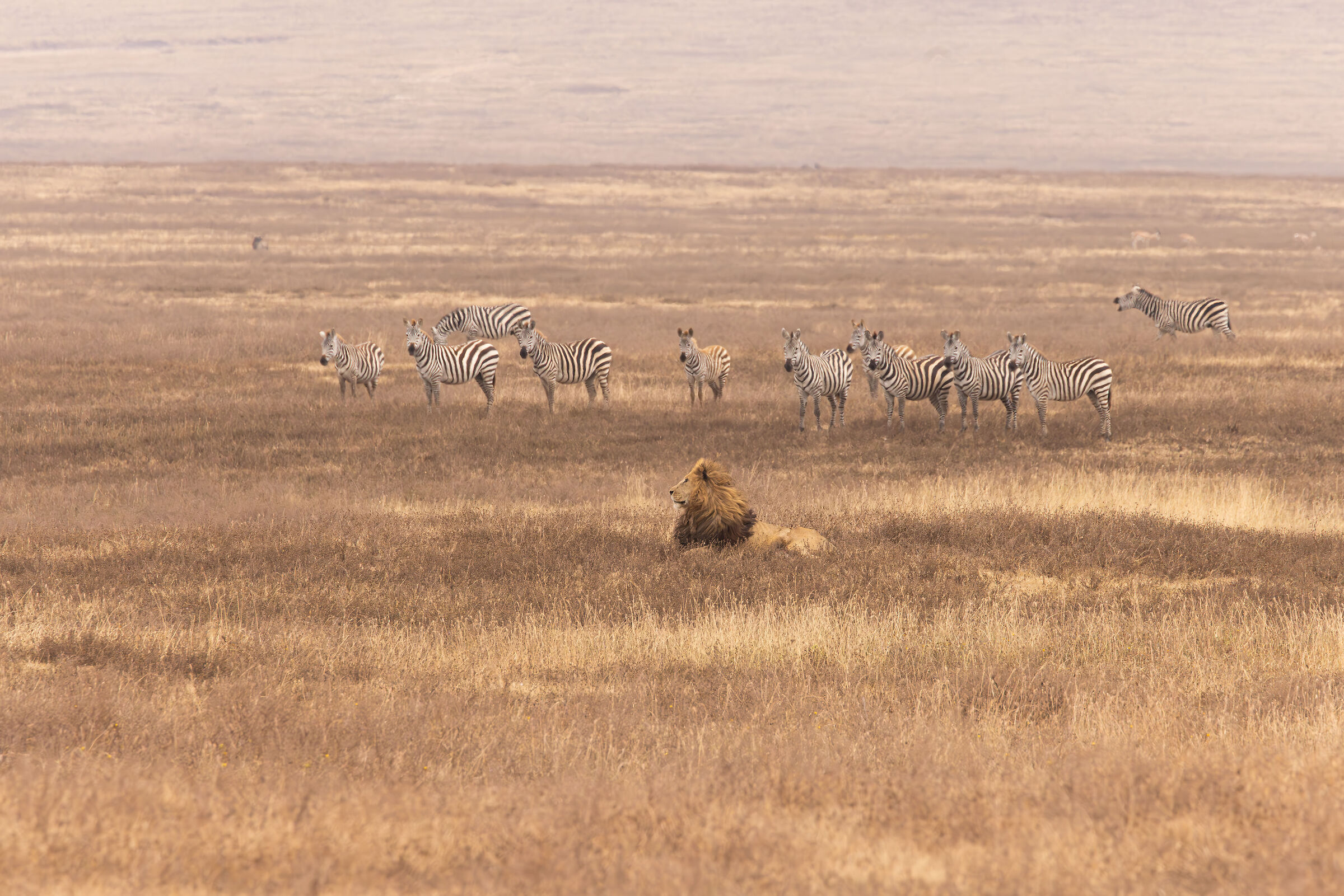 Asante Sana Tanzania