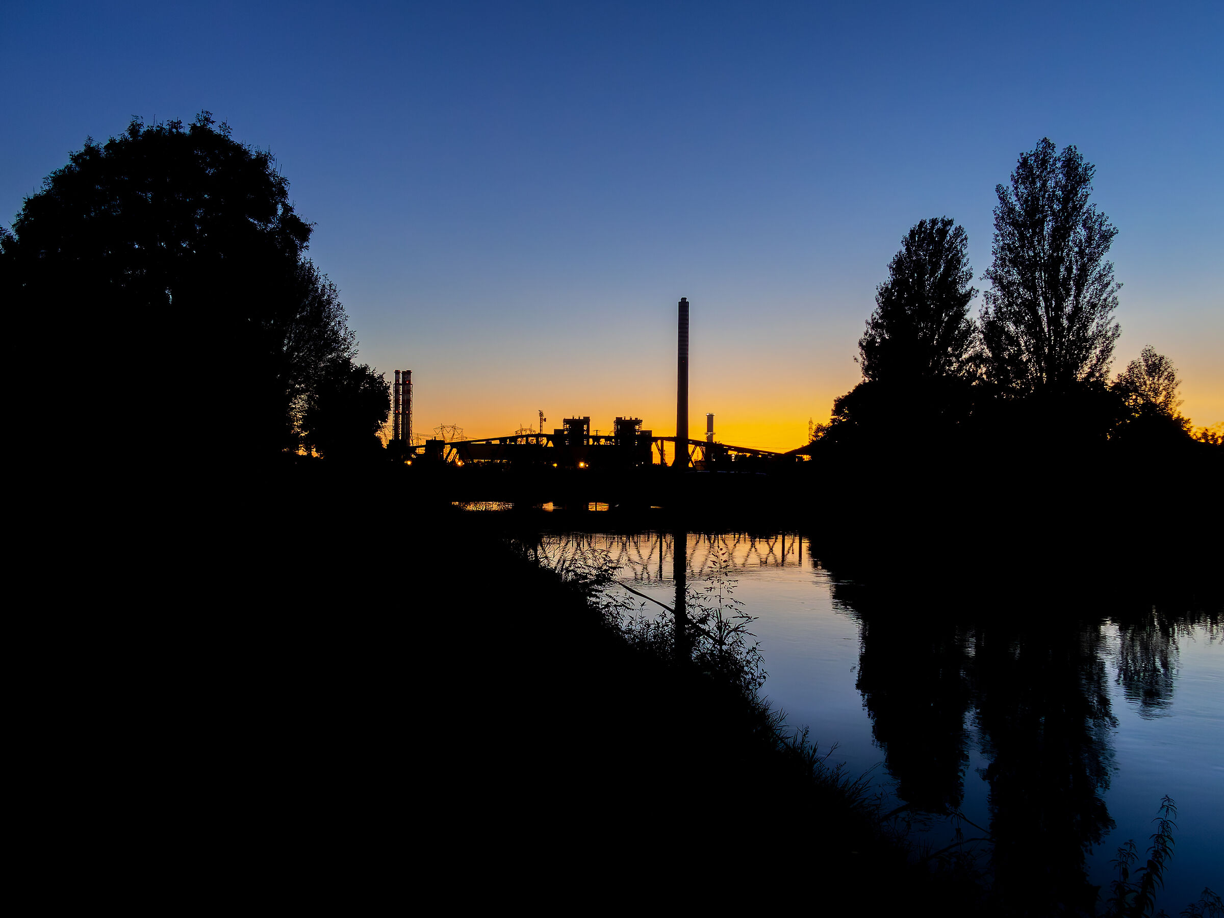 Untitled Photo