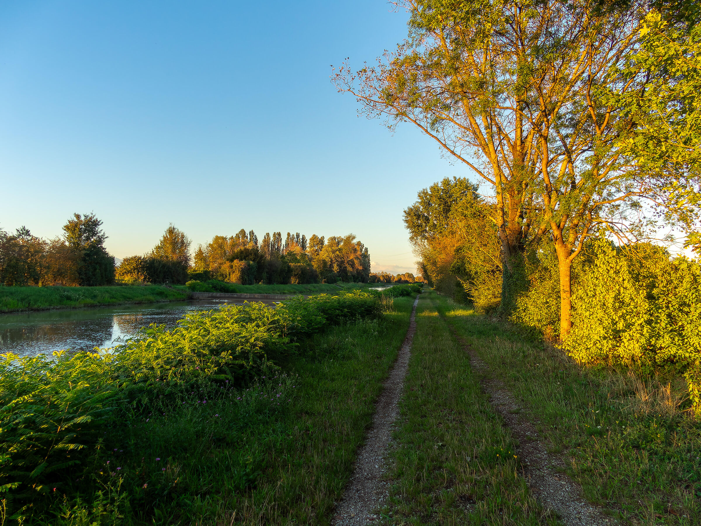 Untitled Photo