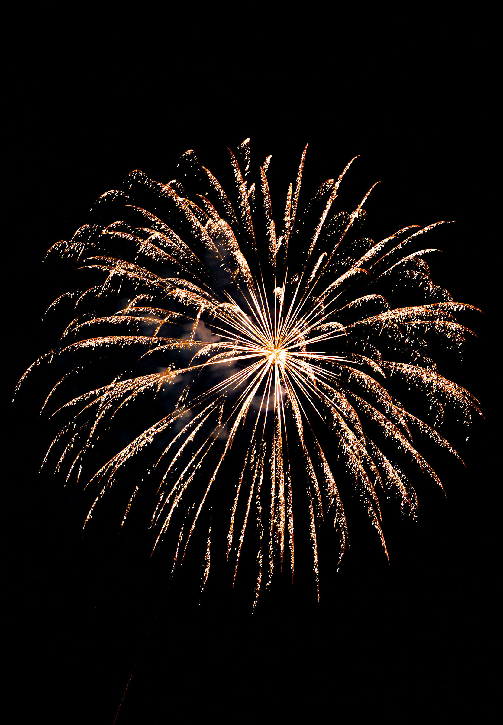 Golden Fireworks