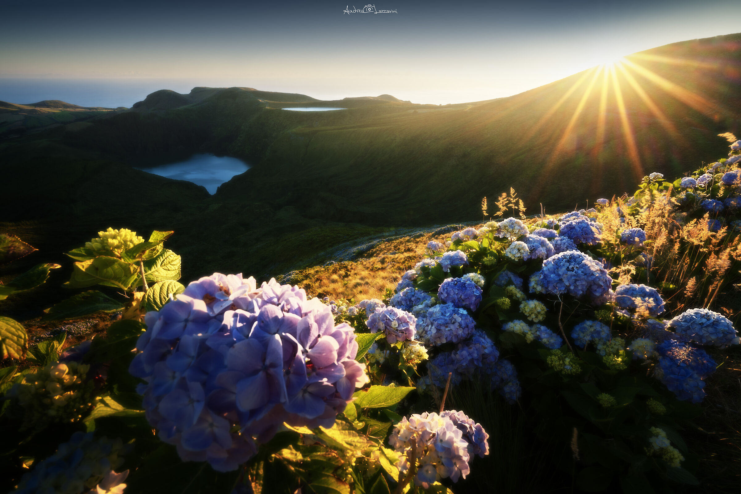 harmony of peace