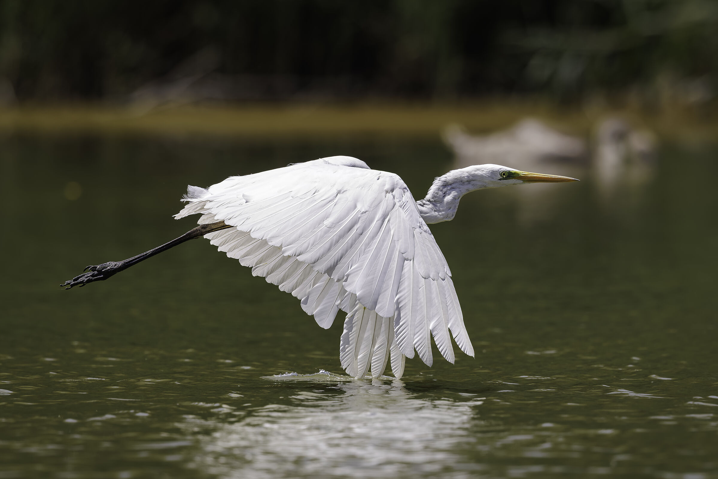 Low-flying flight