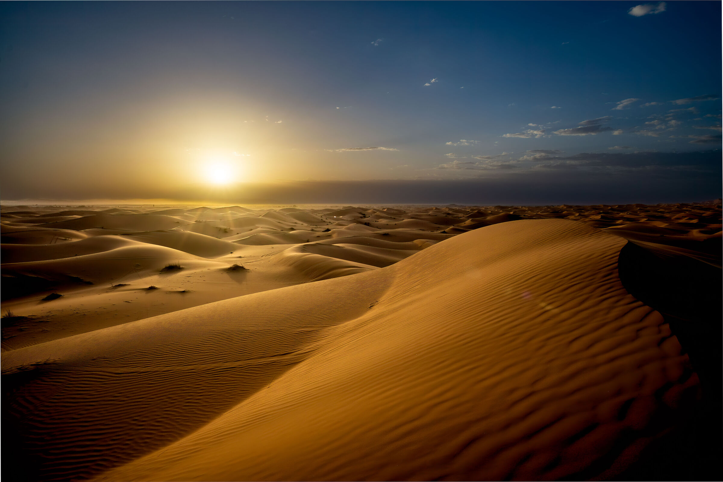 Sahara's sunset