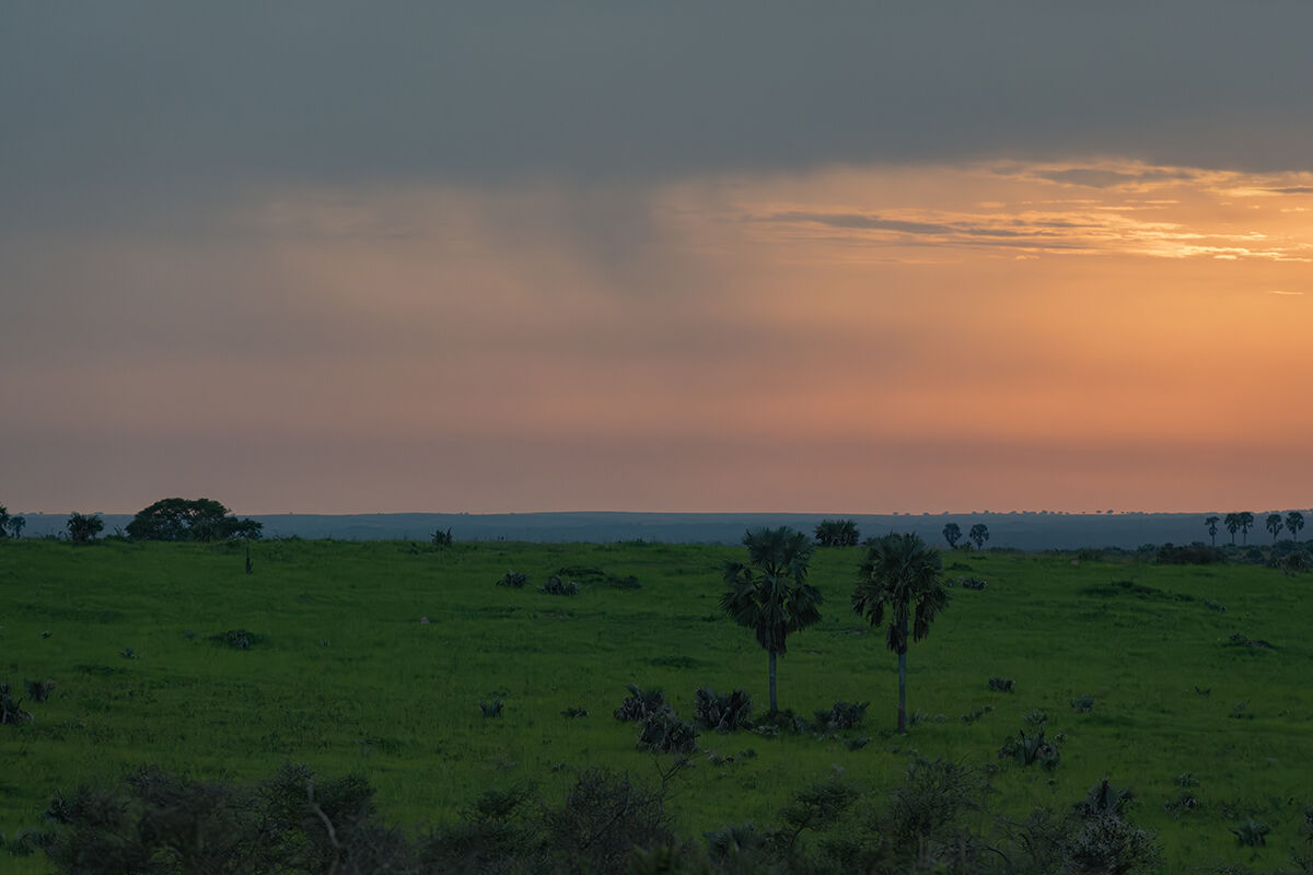 Tramonto ugandese