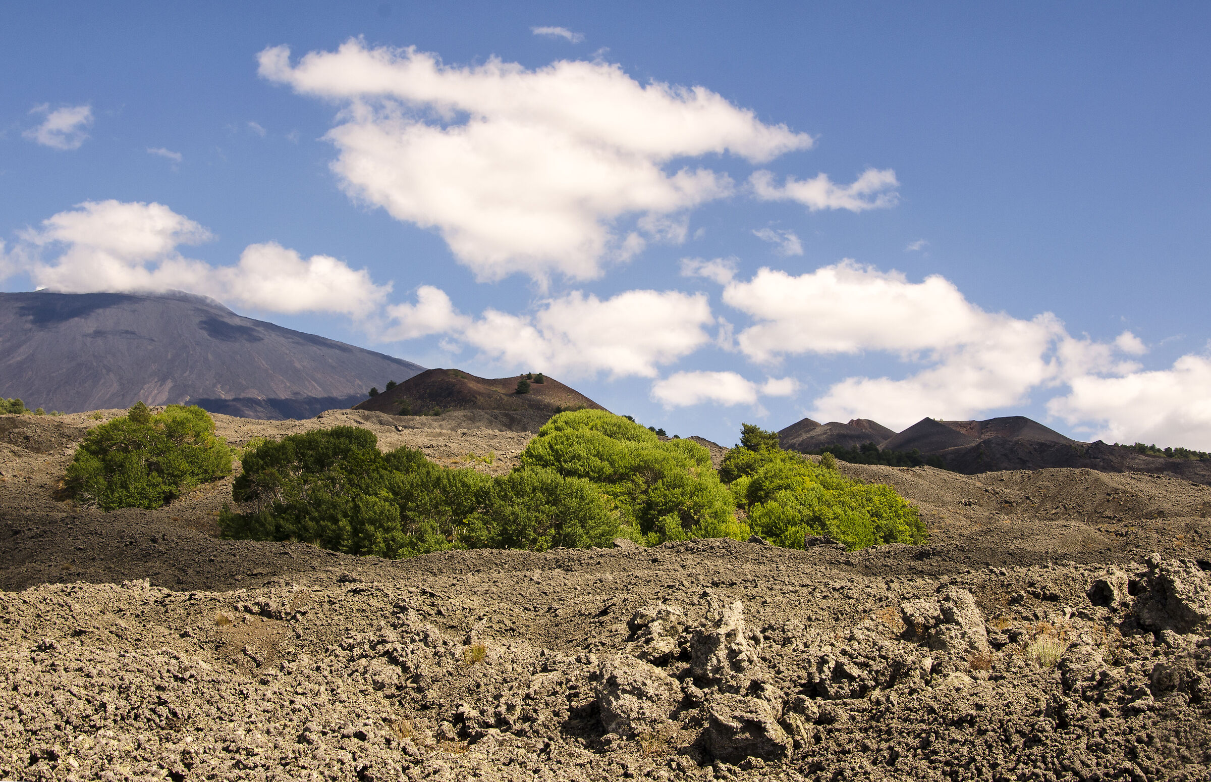 Life and death on a volcano