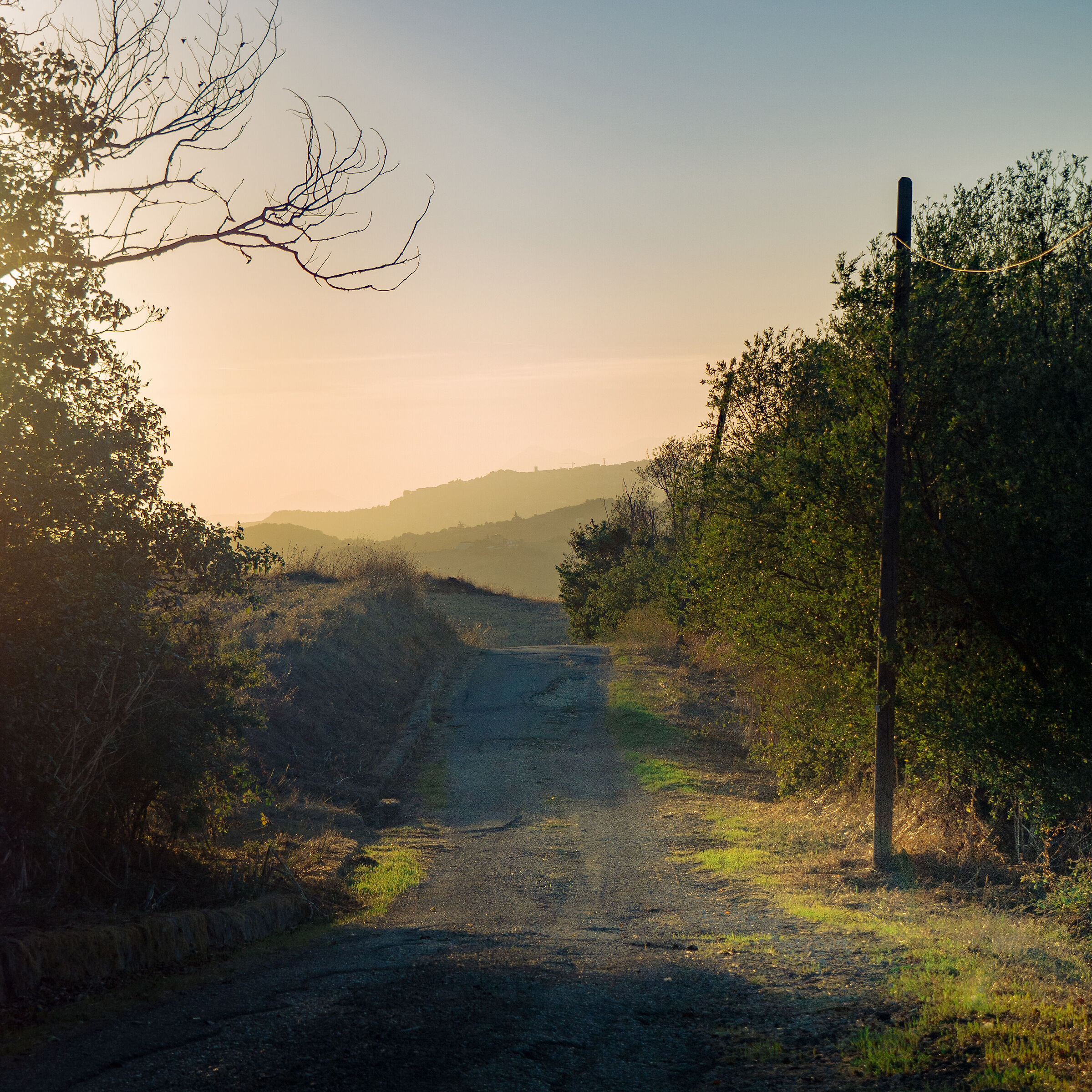 The road less traveled
