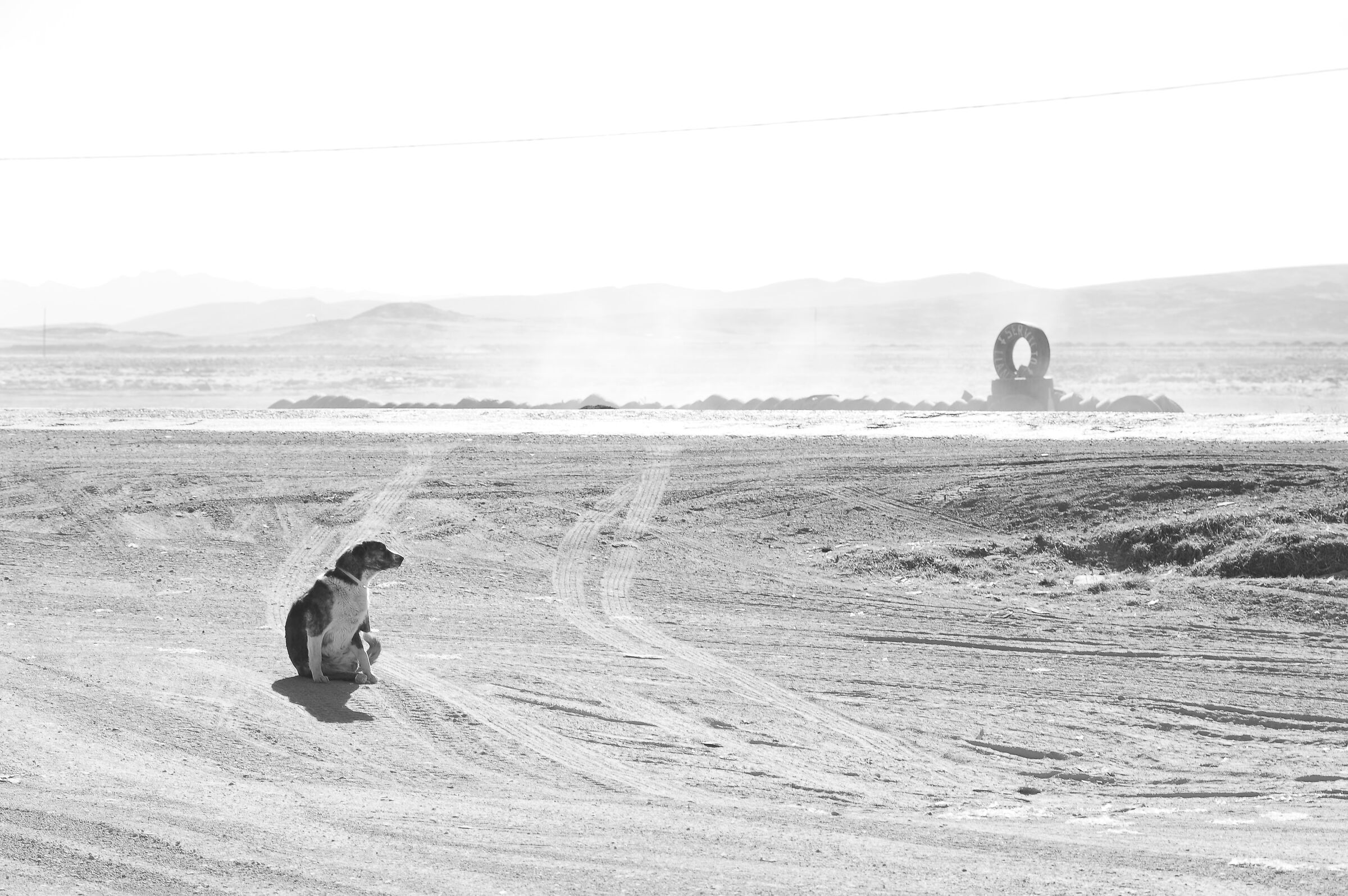 Peruvian desert