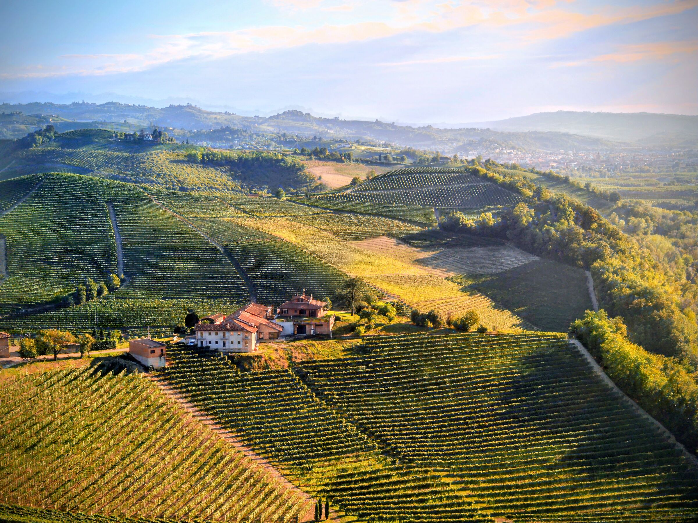 Hills of Barbaresco CN