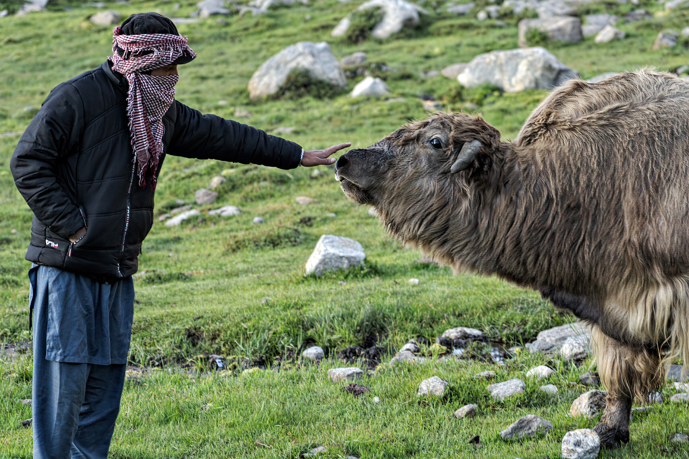 Lo Yak e il portatore