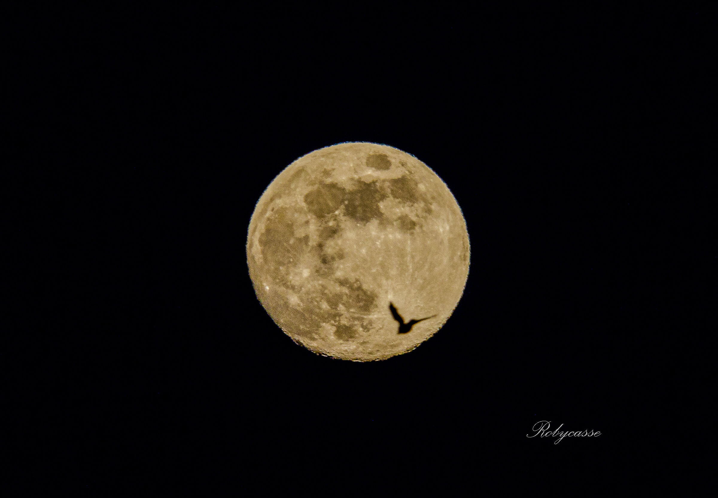 Volatile Moon