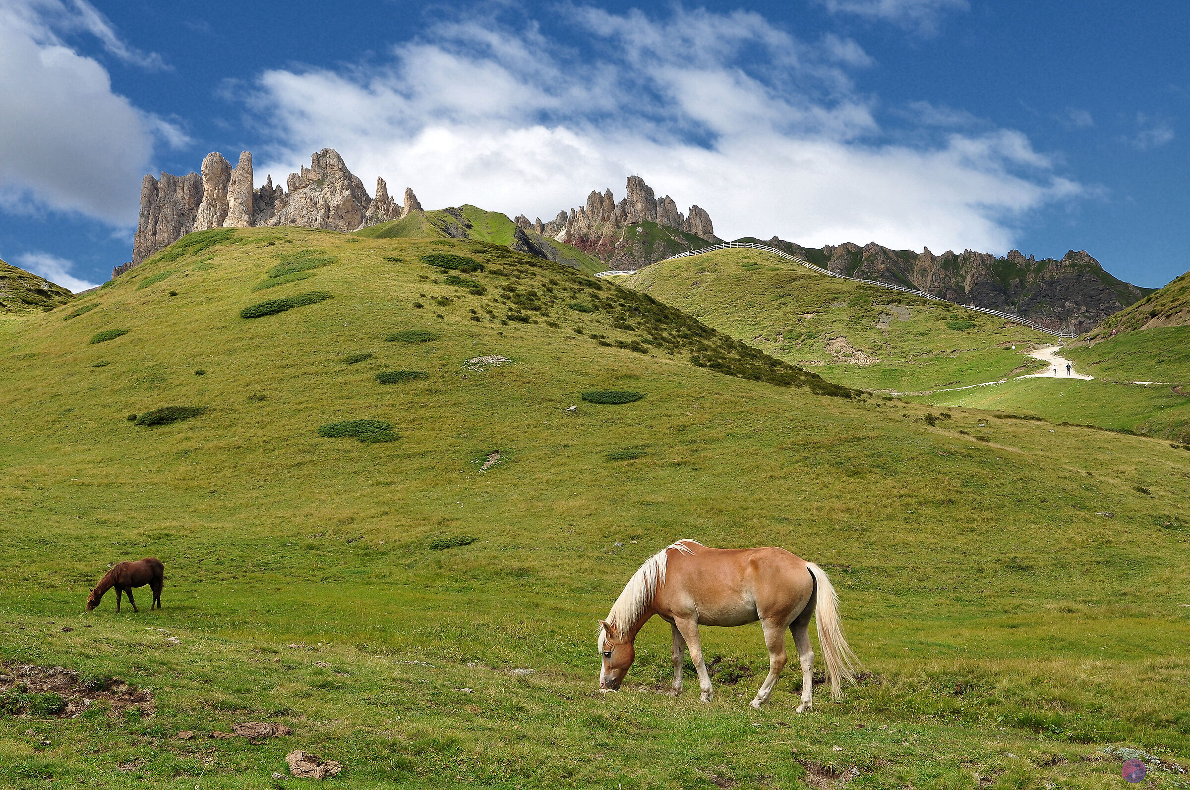 Mi ricordo montagne verdi