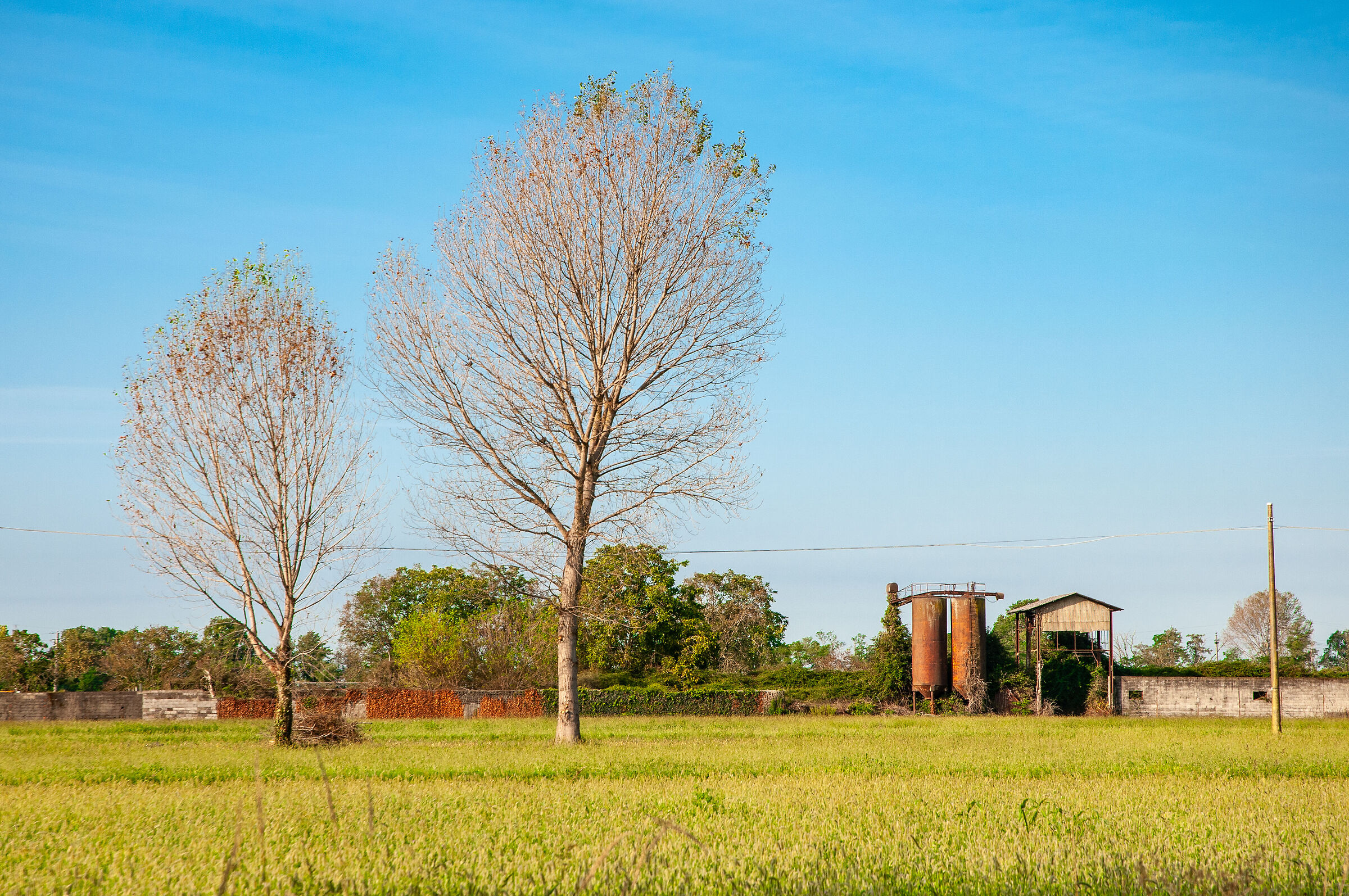 Industrial Archaeology in Nature
