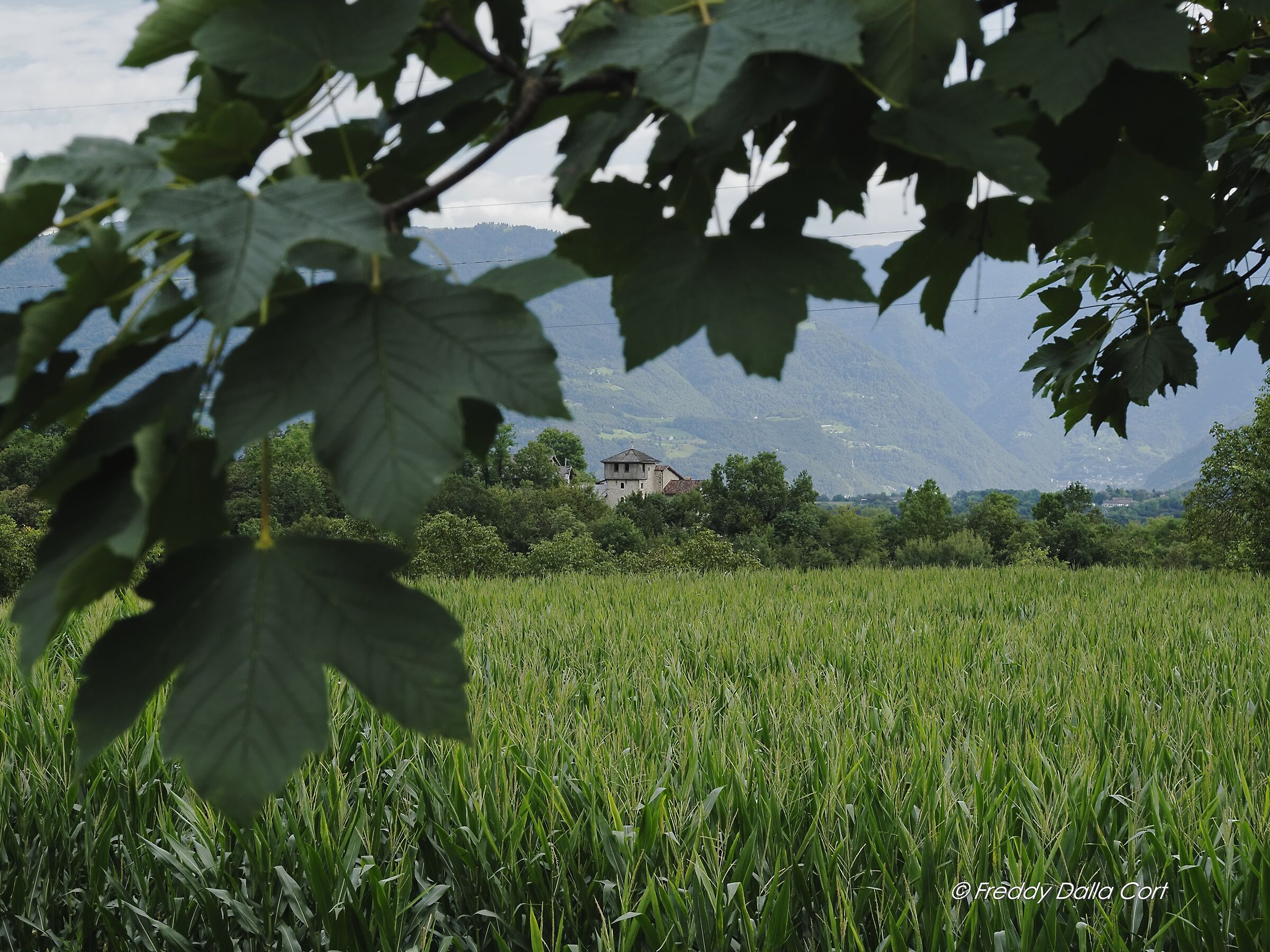 Soranzen (bl)