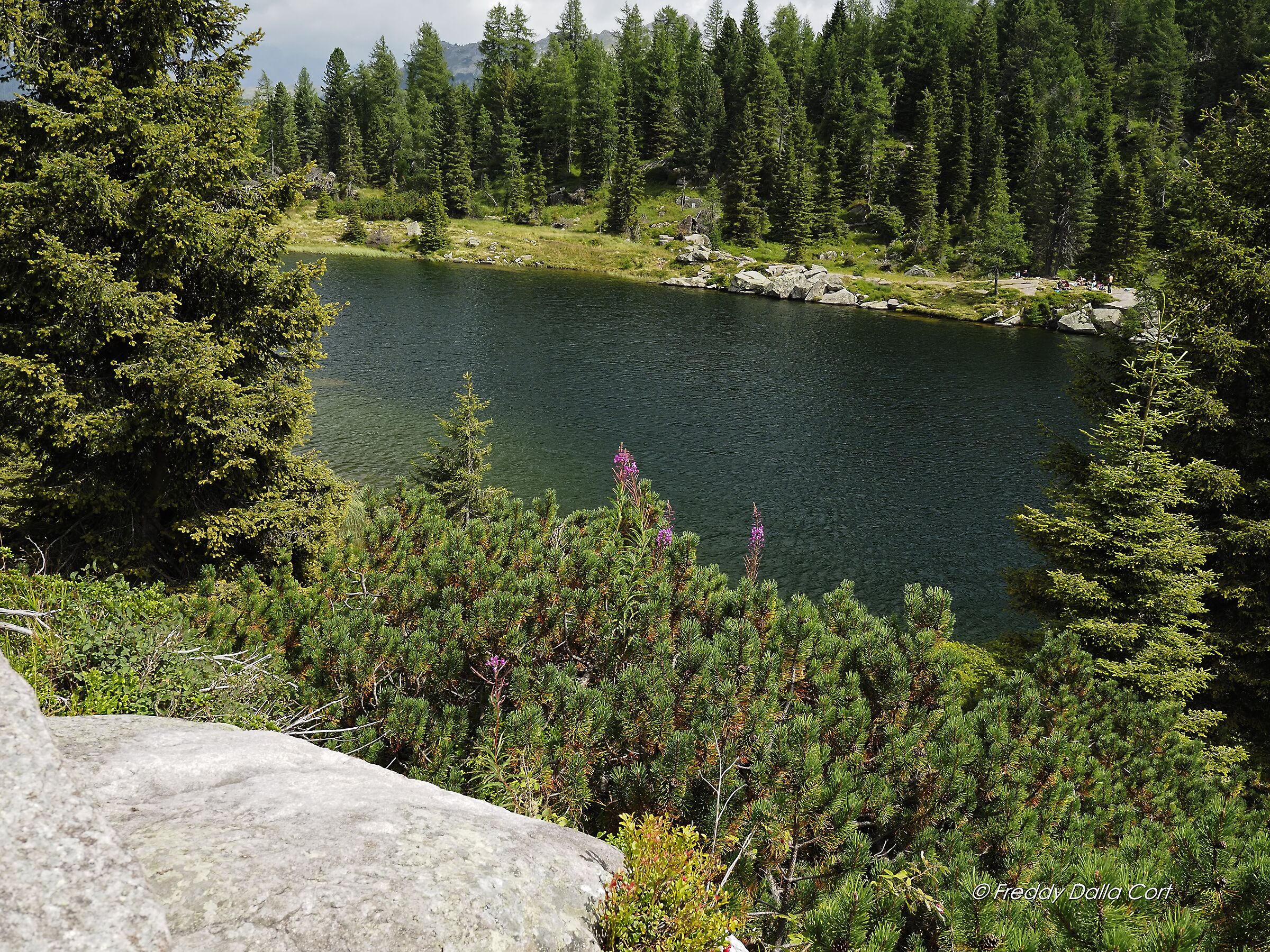 Lago Colbricon Passo Rolle