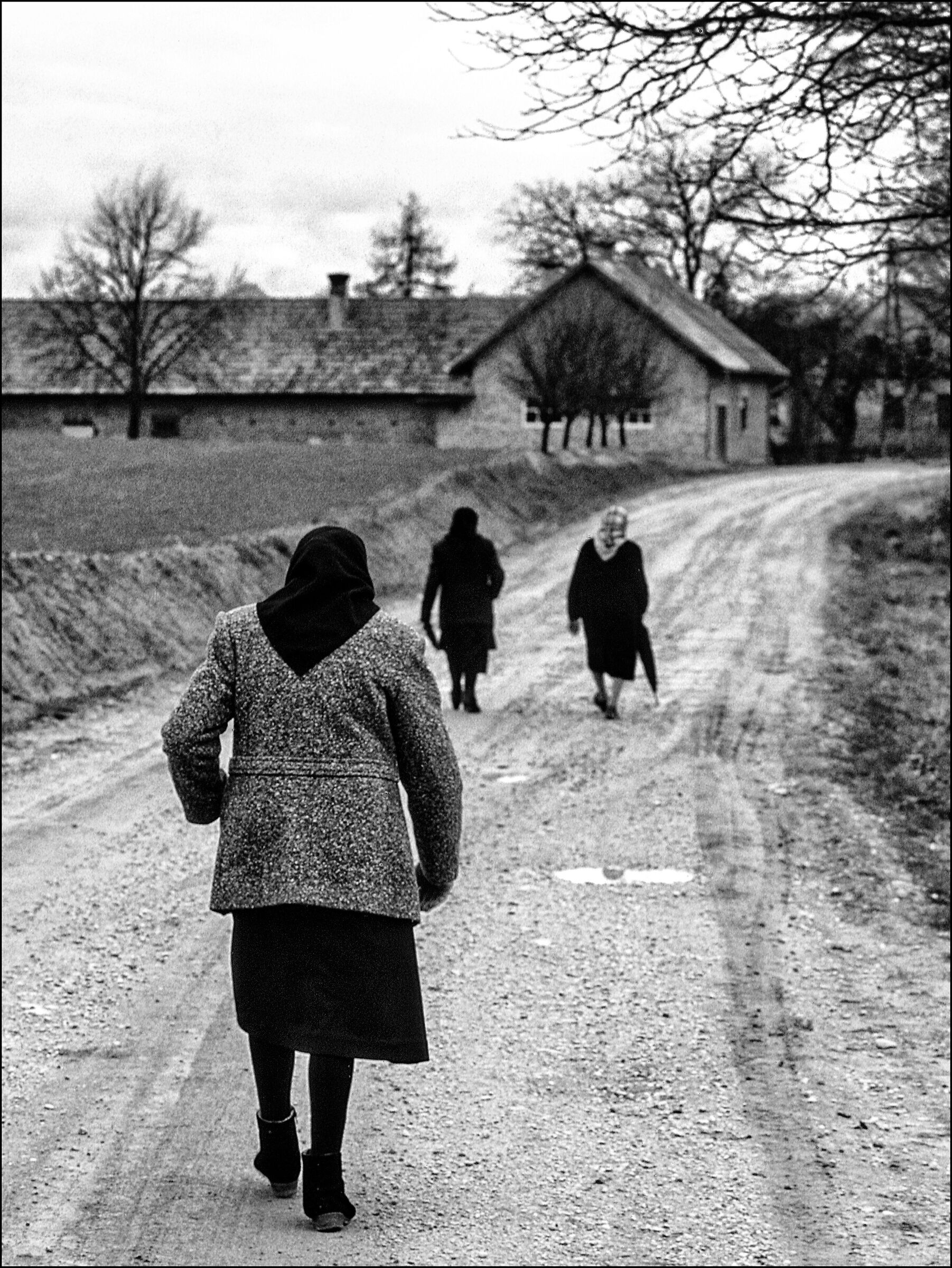 1985 Slovenia (Jugoslavia)