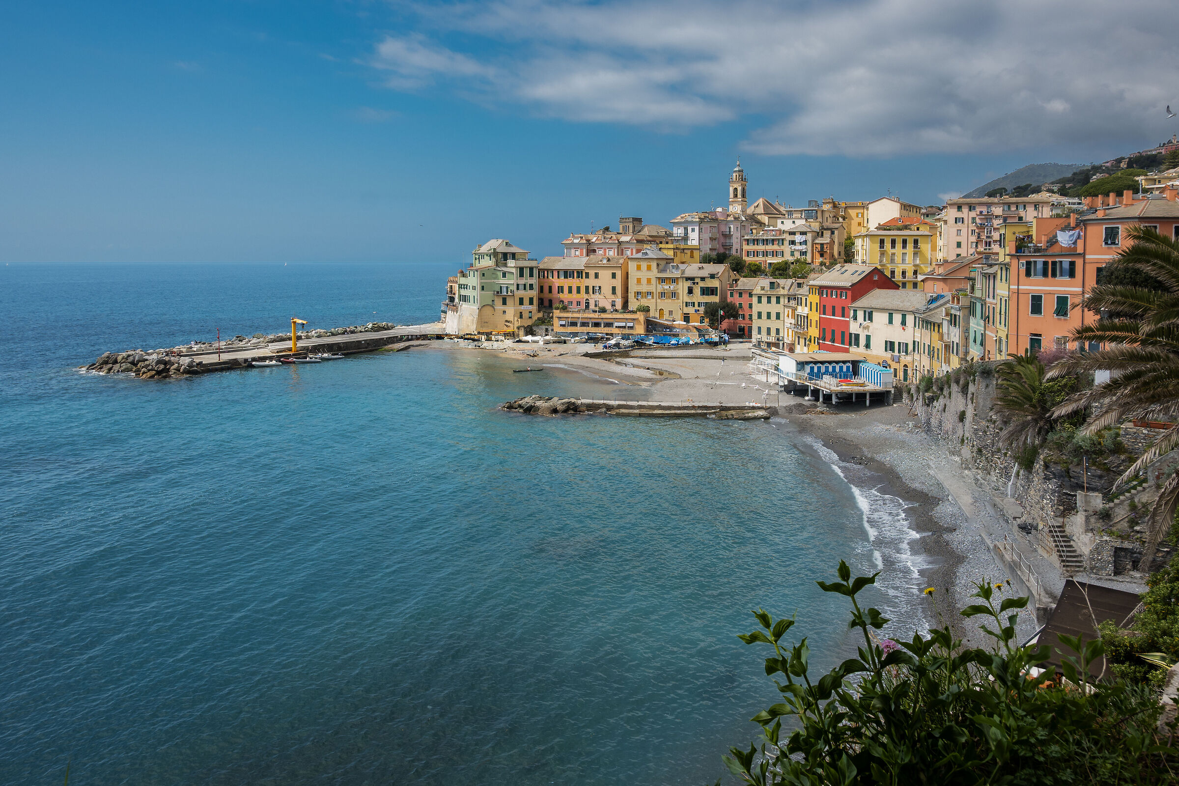 Bogliasco