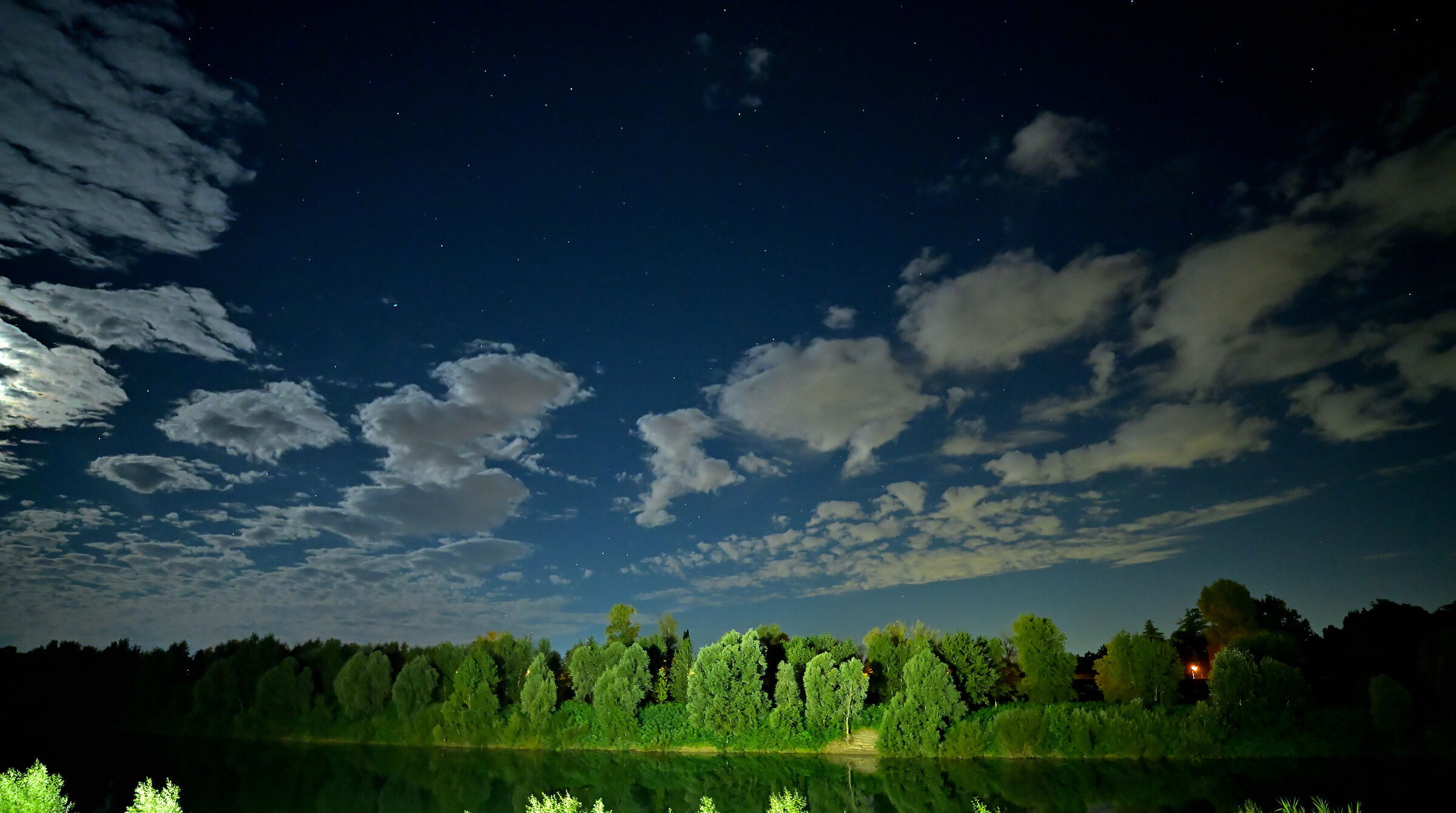 Untitled Photo