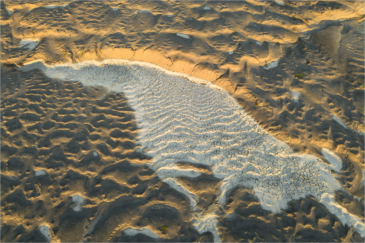 Wave at Dawn