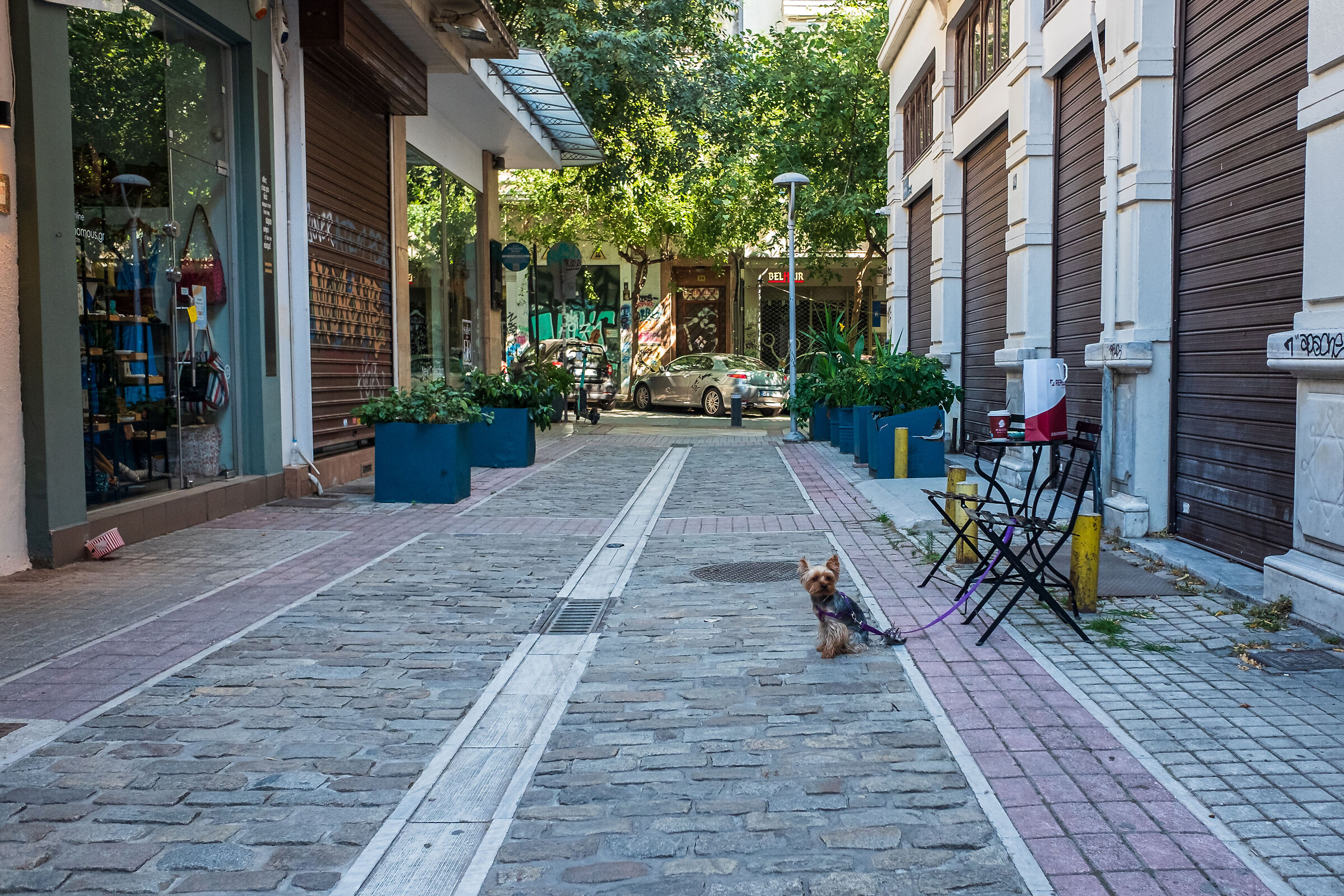 Street - Thessaloniki Greece