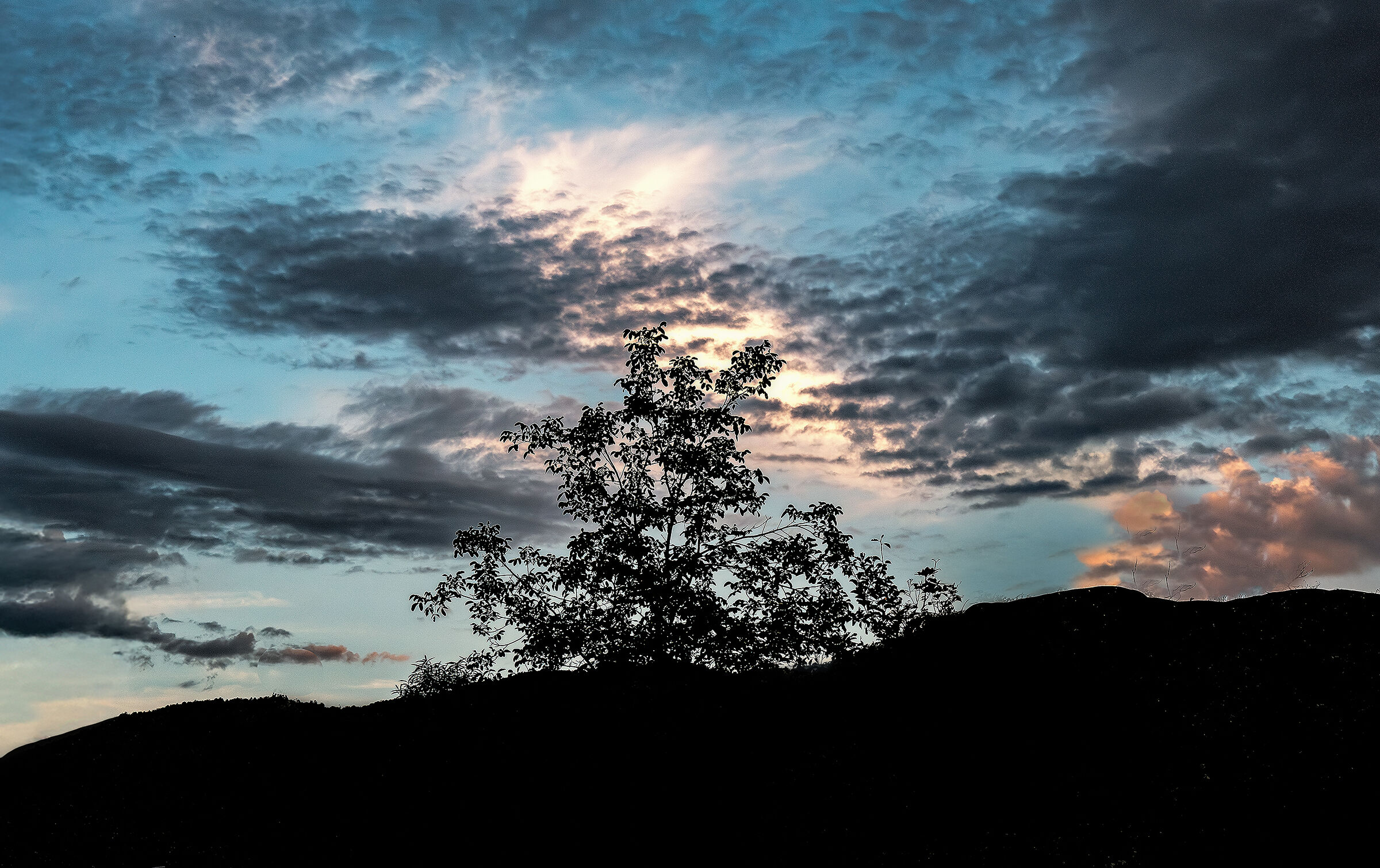 Backlight