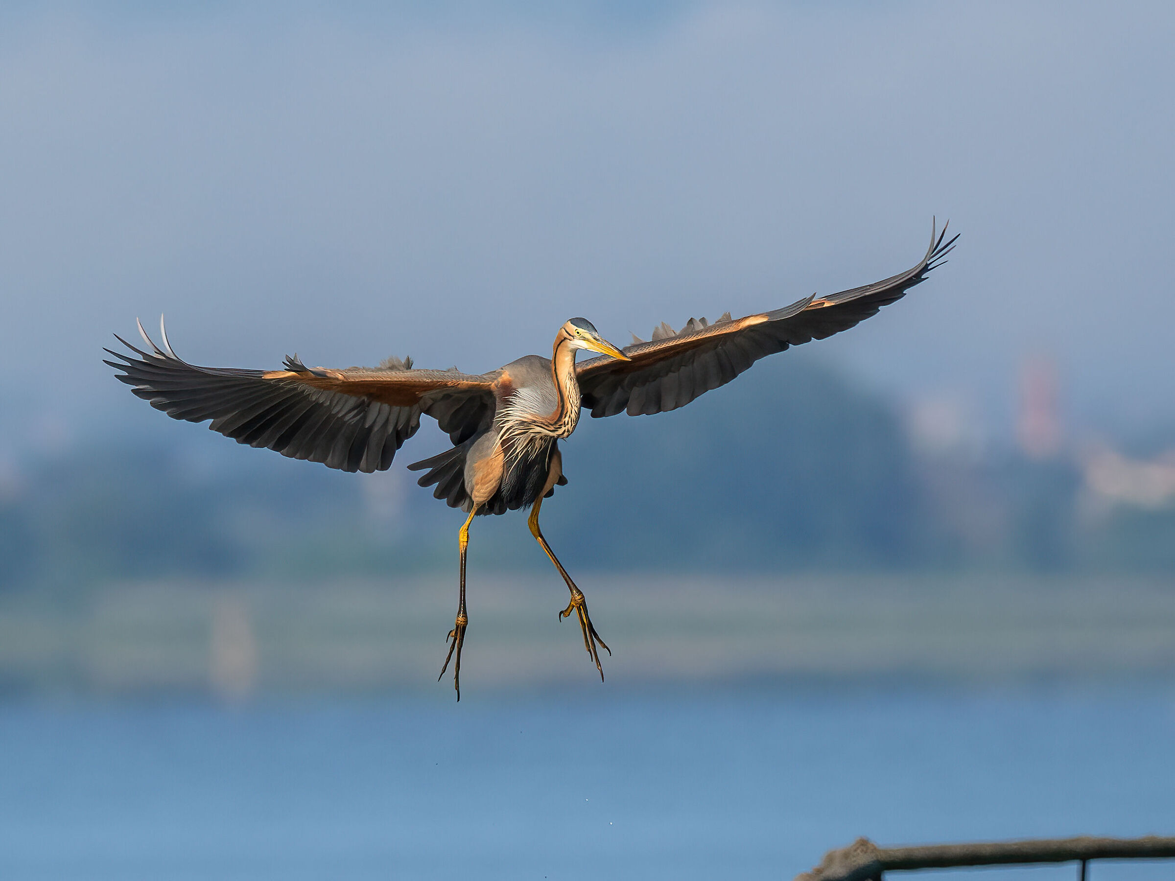 Landing