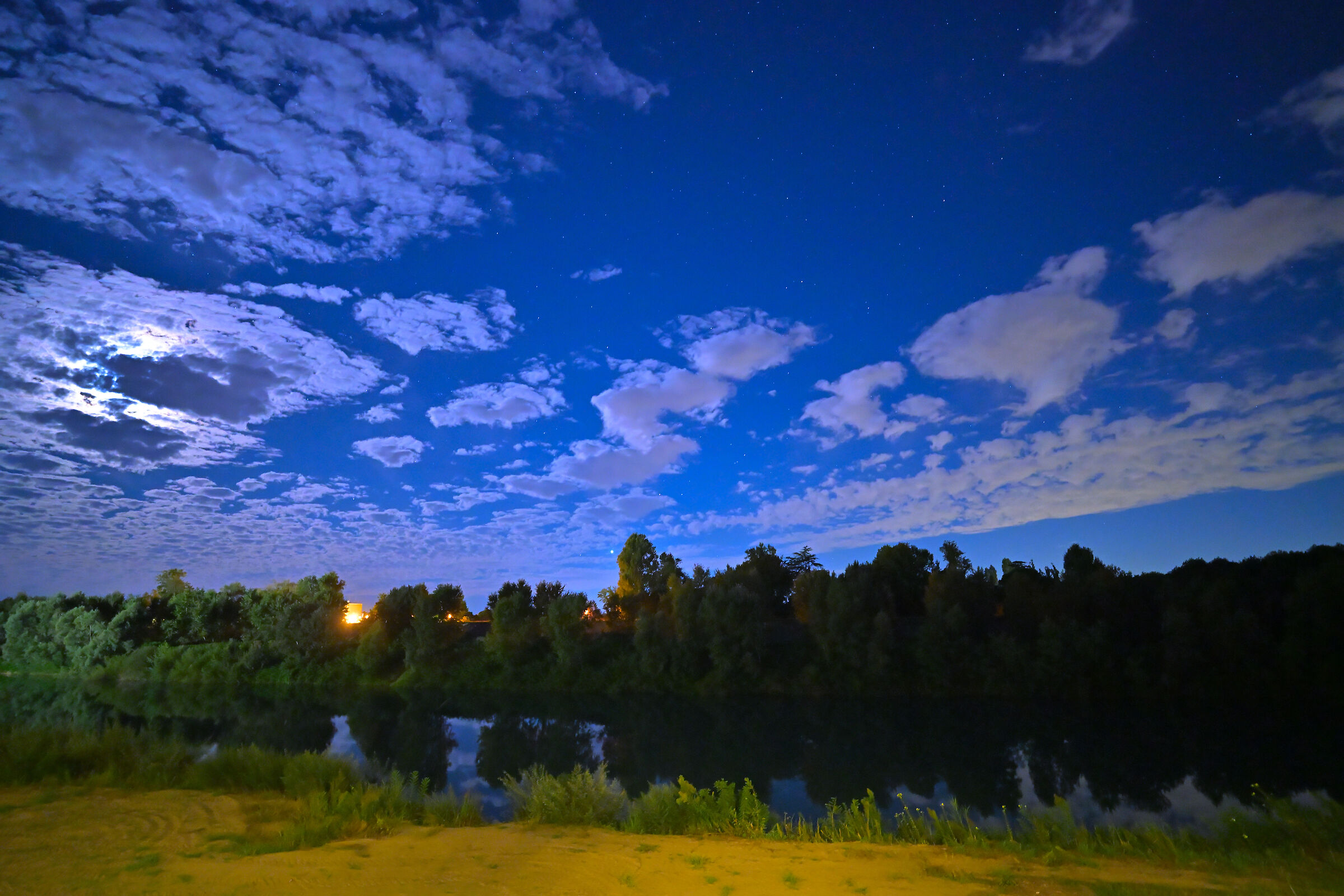 Untitled Photo