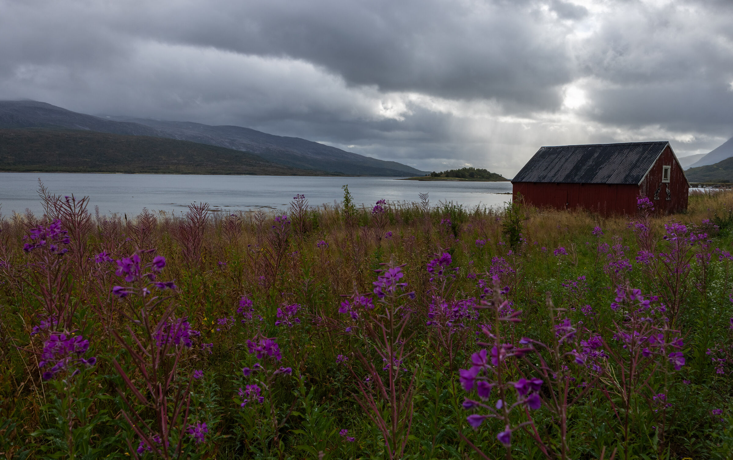 The Little Red House