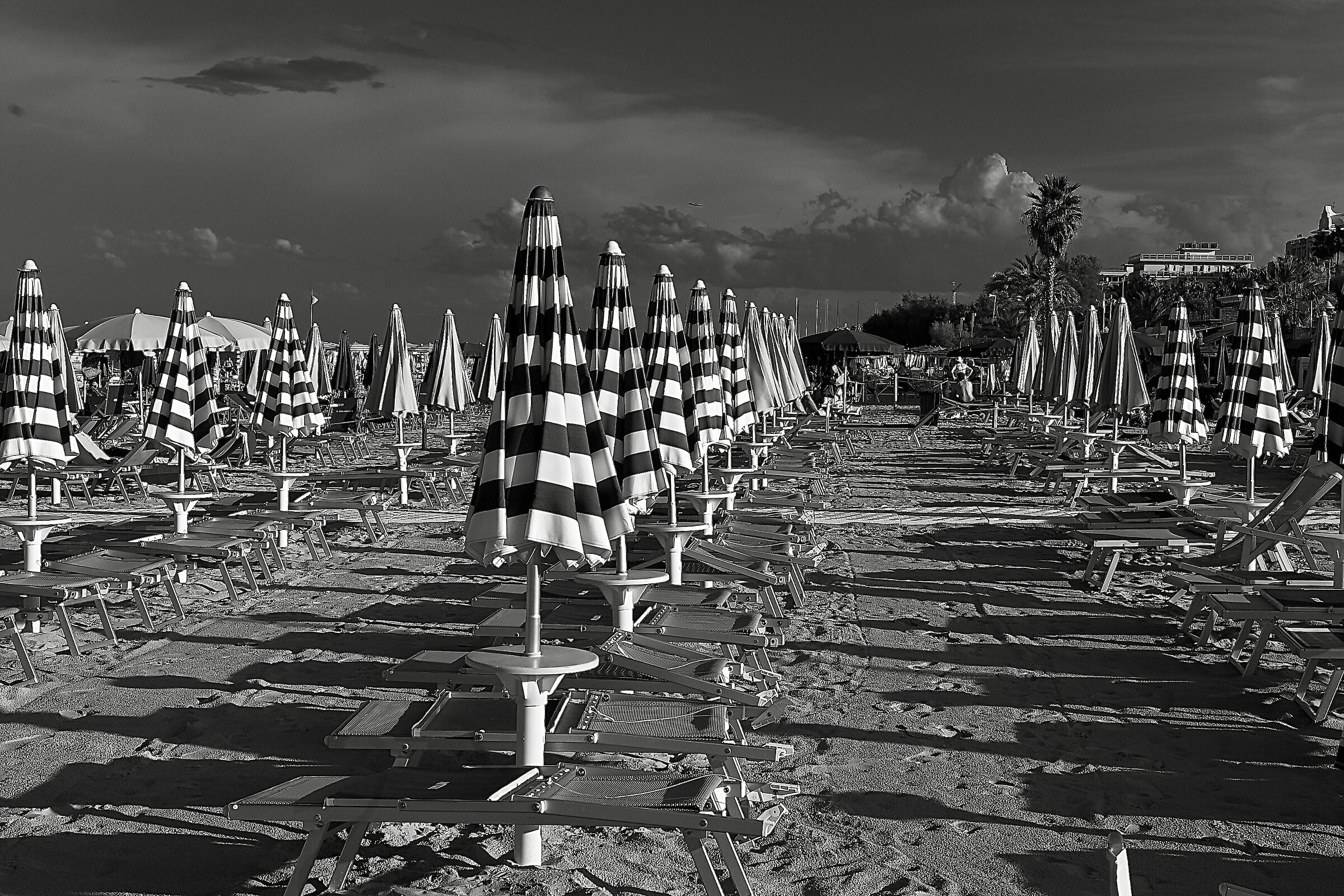 Riviera delle Palme in black.