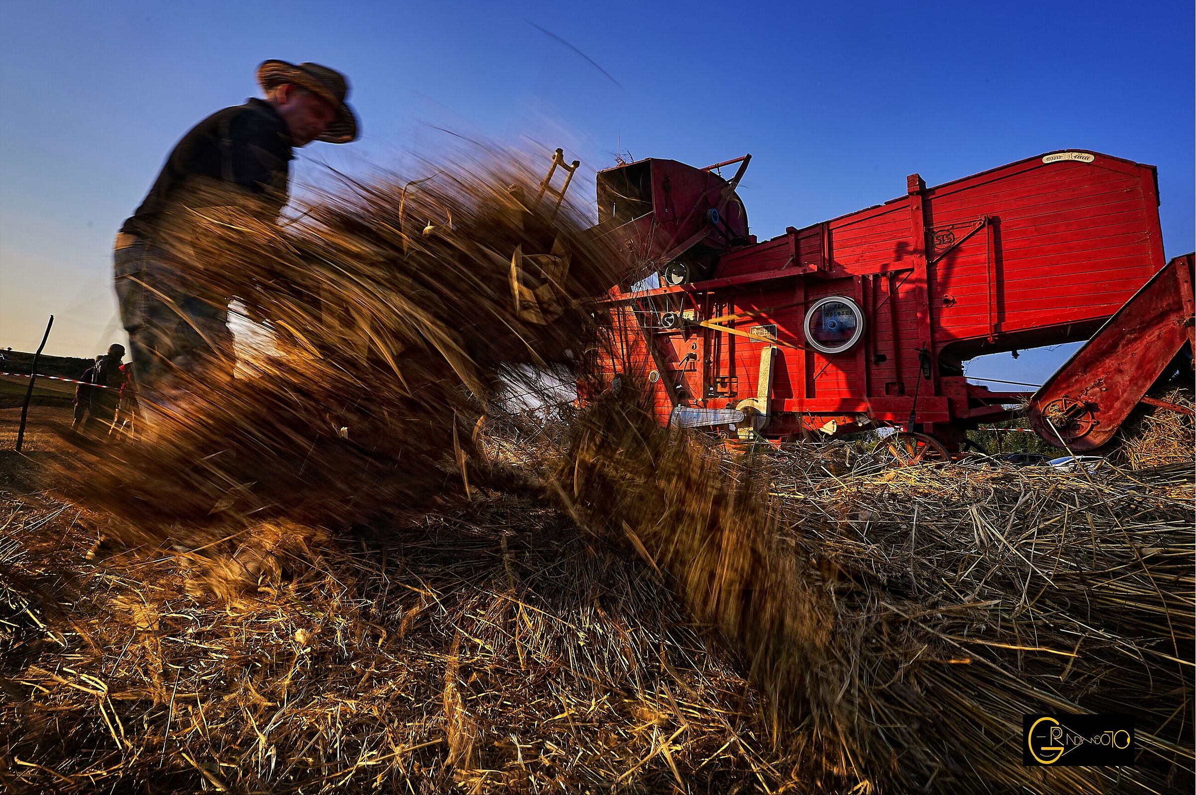 Hands of wheat, hands of history