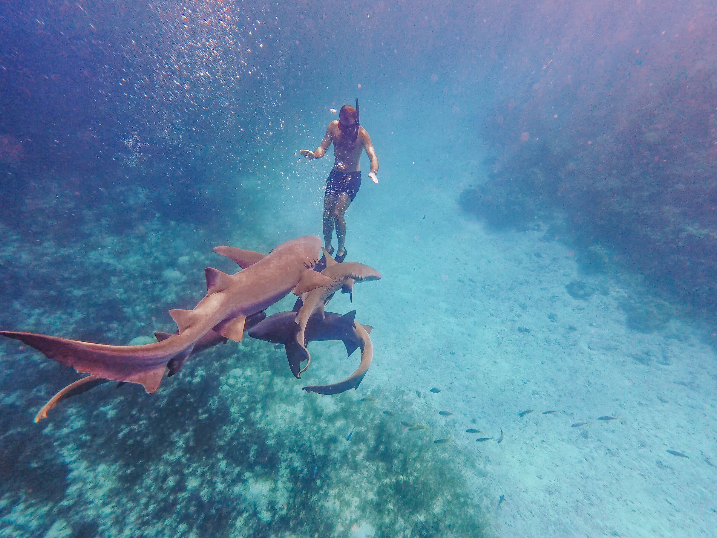 muoversi con cautela!