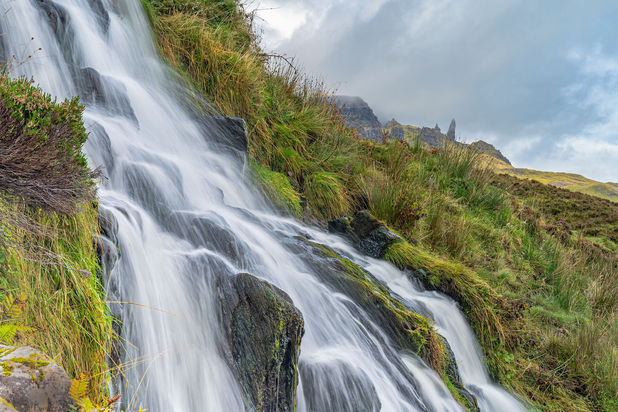 Scotland's treasure: its Nature!