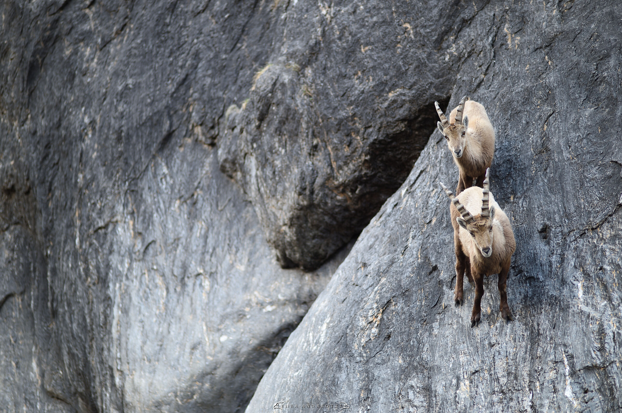 Hanging on the mountains