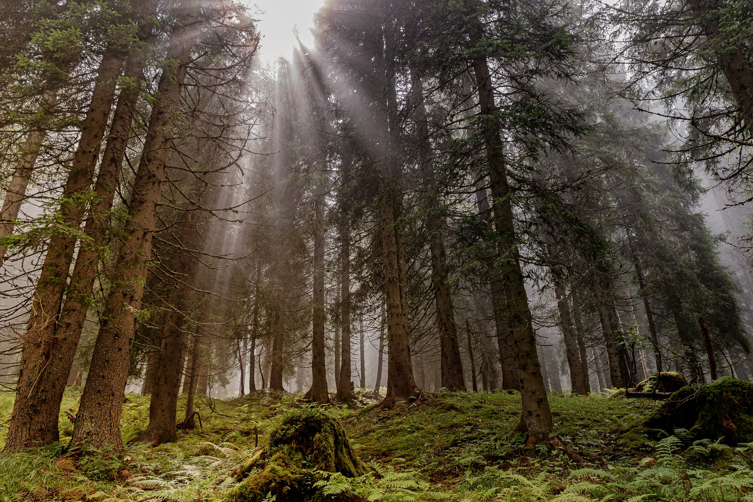 plays of light